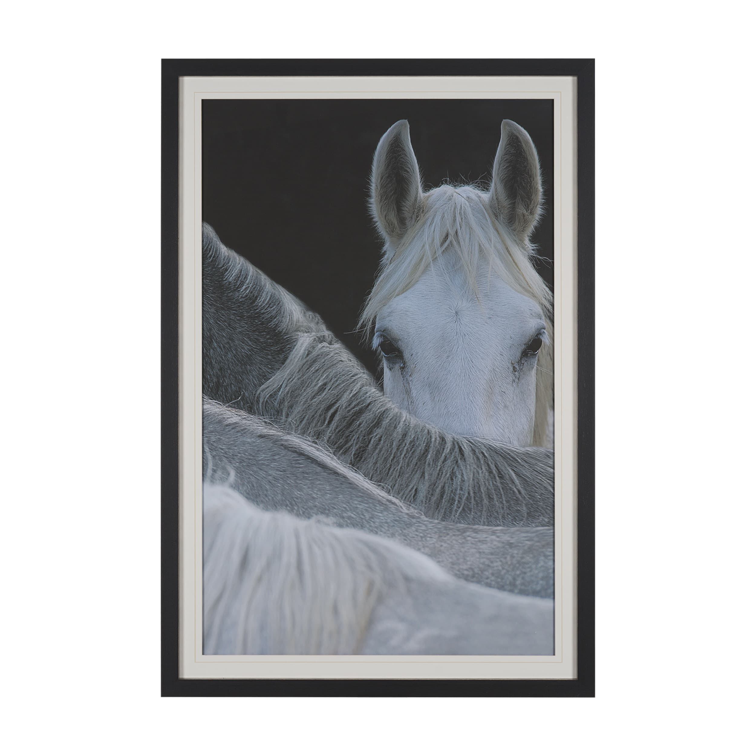 Look by Milan Malovrh FramedPhoto Print Matted under Glass — product photograph