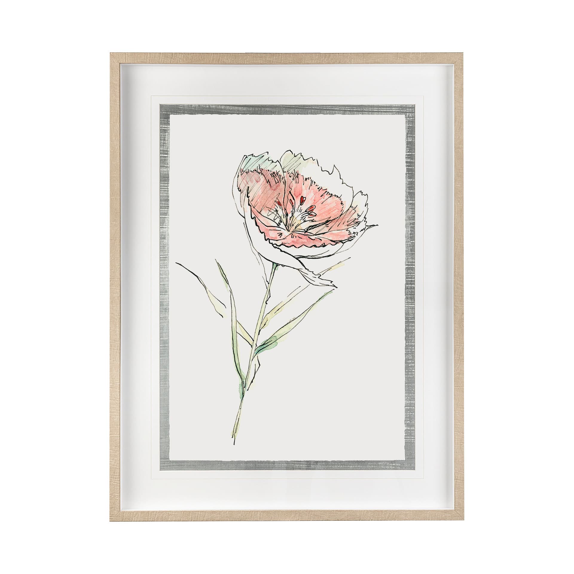 Dianthus II by Panpan Zhang a Framed Art Print Matted under Glass — product photograph