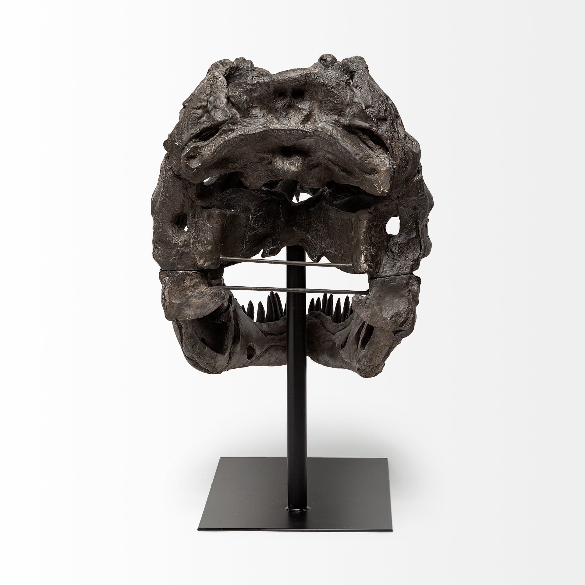 Lagrane 19L x 11W Brown Resin Tyrannosaurus T Rex Dinosaur Skull Replica — product photograph