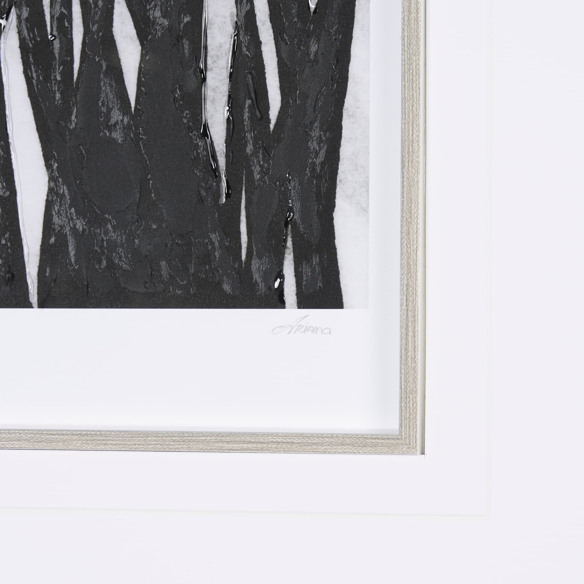Floral Silhouette I by Mercana Studio Hand Embellished Textured Framed Art Print Matted under Glass — product photograph