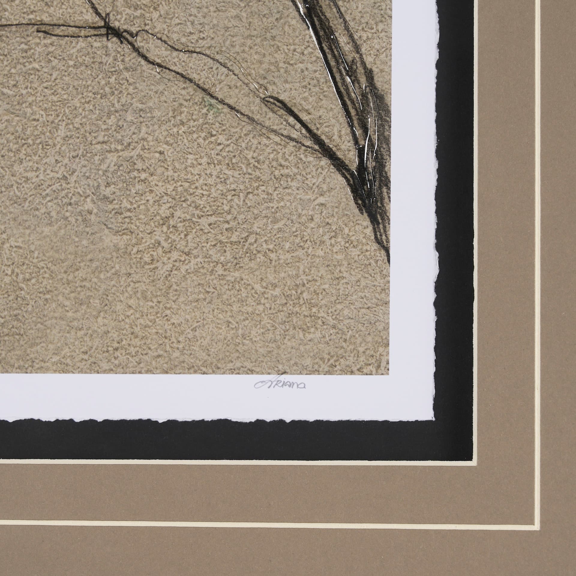 Black Chokecherry 3 by Mercana Studio a Hand Embellished Framed Art Print Matted under Glass — product photograph