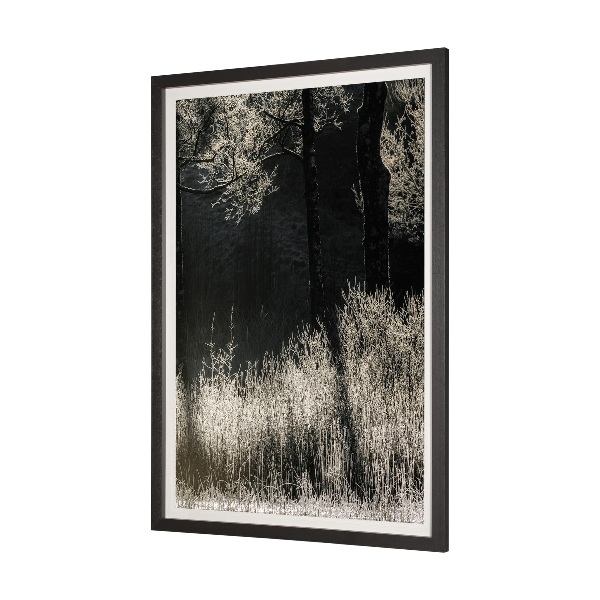 Tranquil Symmetry II by Mikael Svensson a Framed Photo Art Print Matted under Glass — product photograph