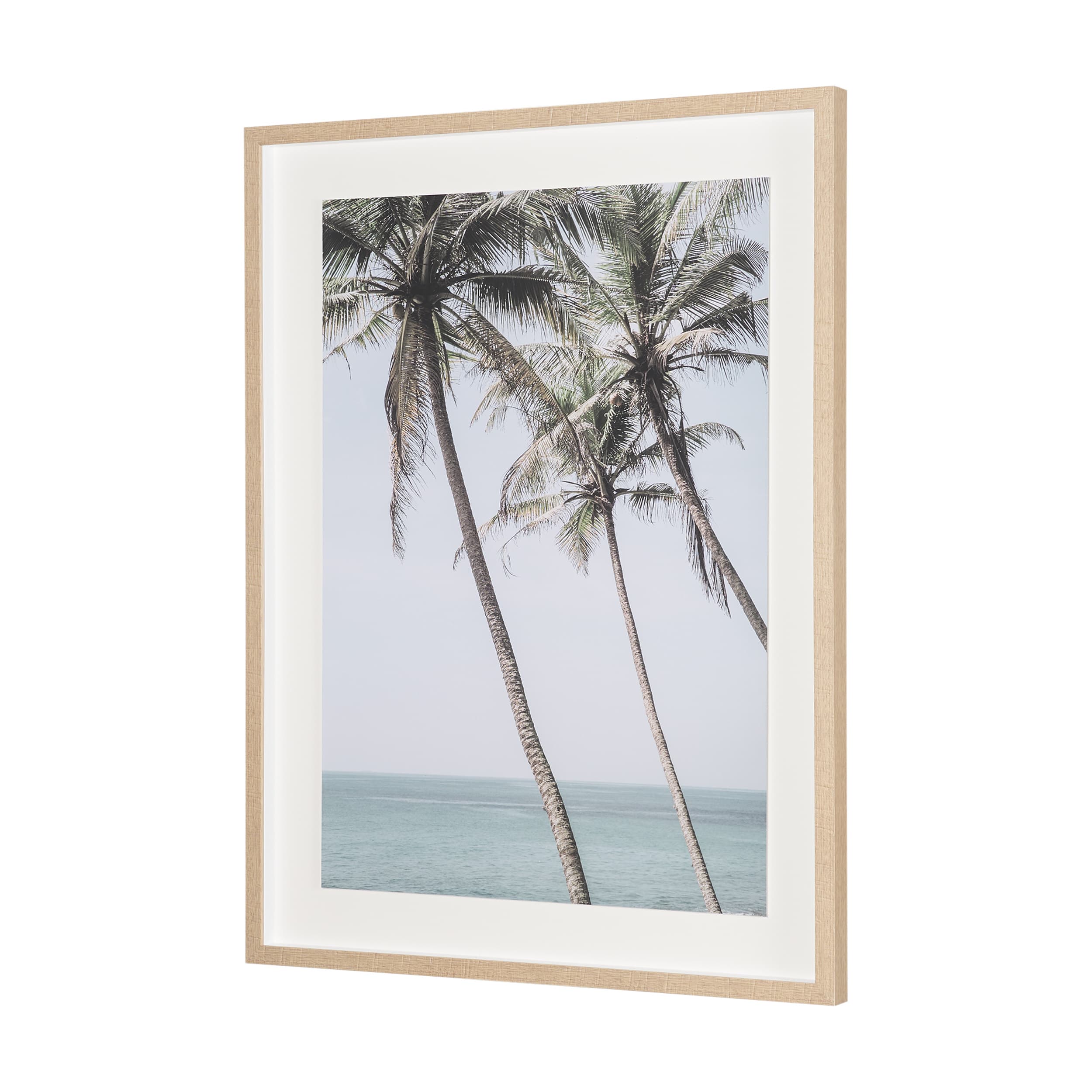Ocean Breeze Palms by Shot By Clint Framed Photo Print Matted under Glass — product photograph