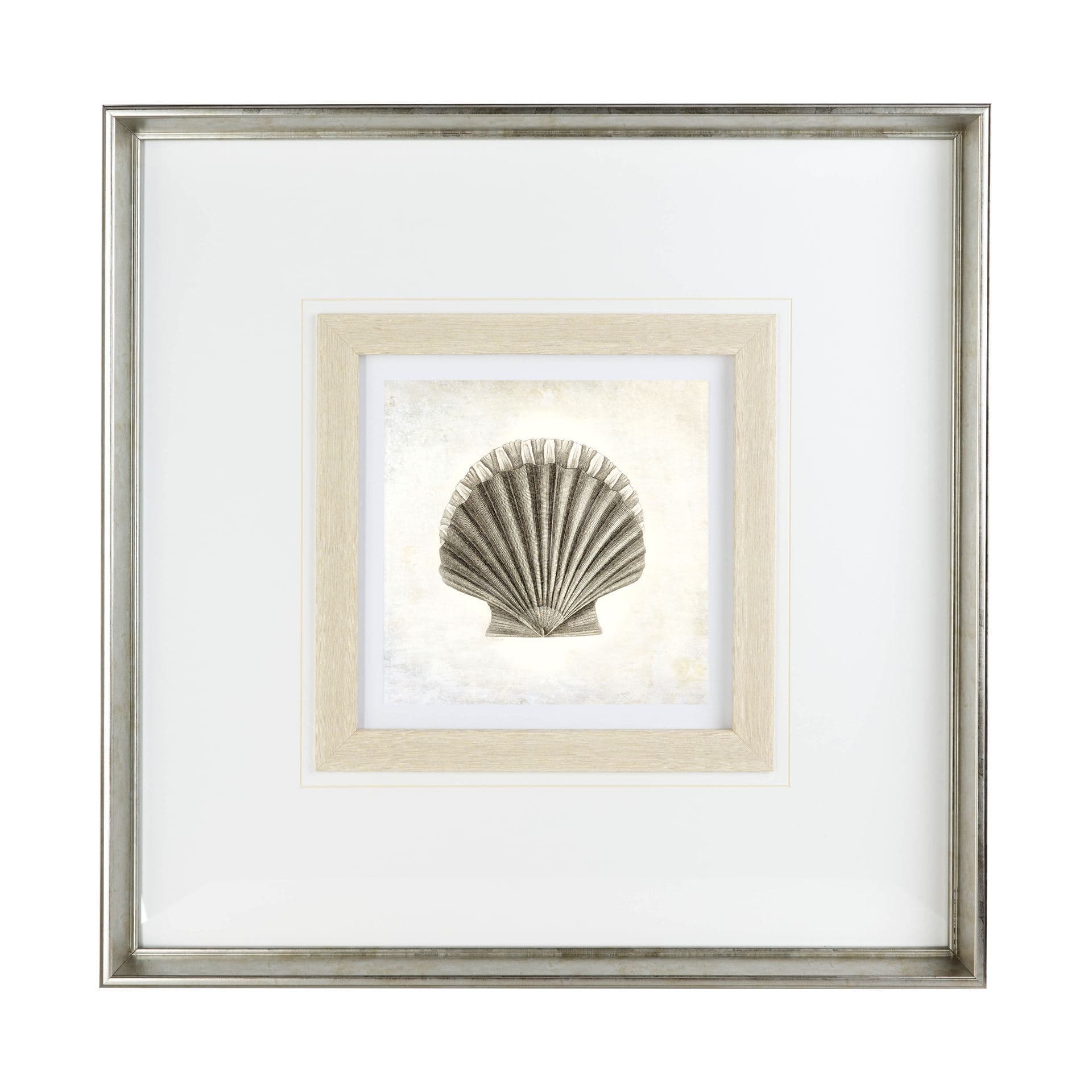 Vintage Scallop Shell by Mercana Studio a Framed Art Print Matted under Glass — product photograph