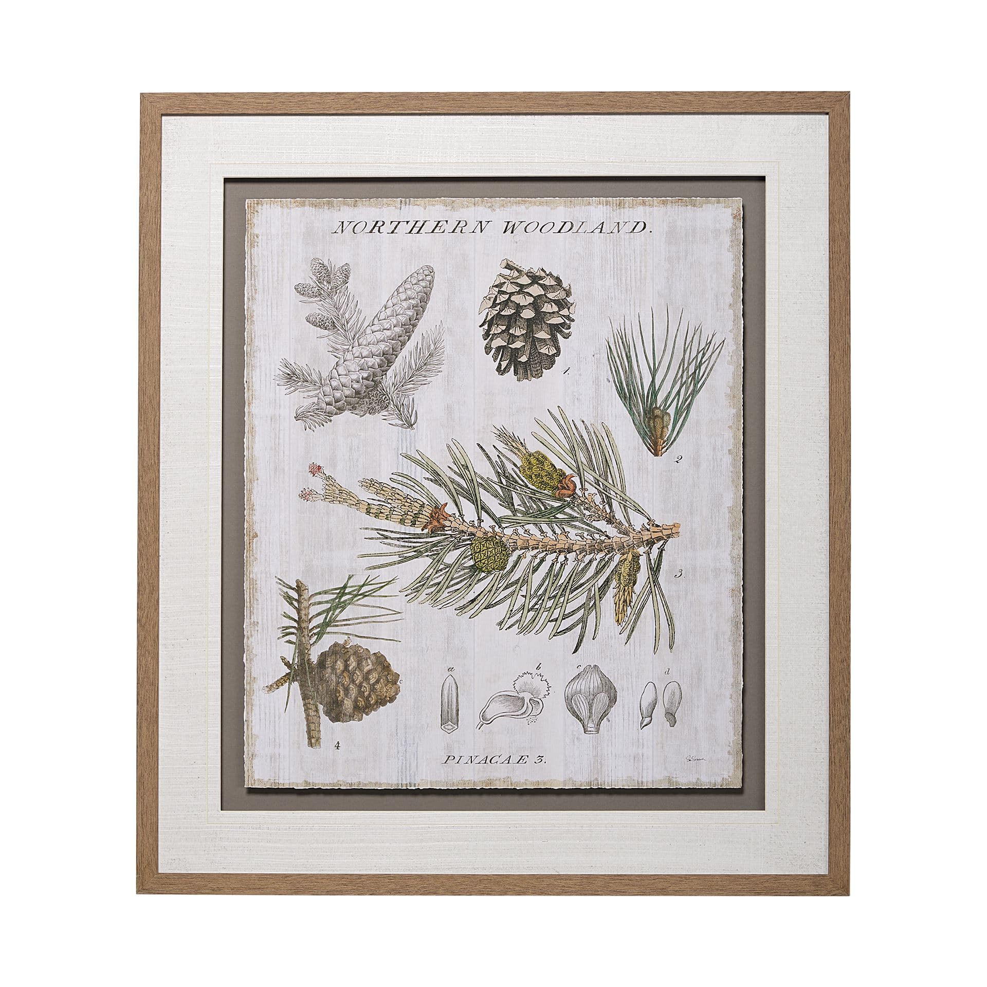 Woodland Chart III by Sue Schlabach a Hand Embellished Textured Framed Art Print Matted under Glass — product photograph