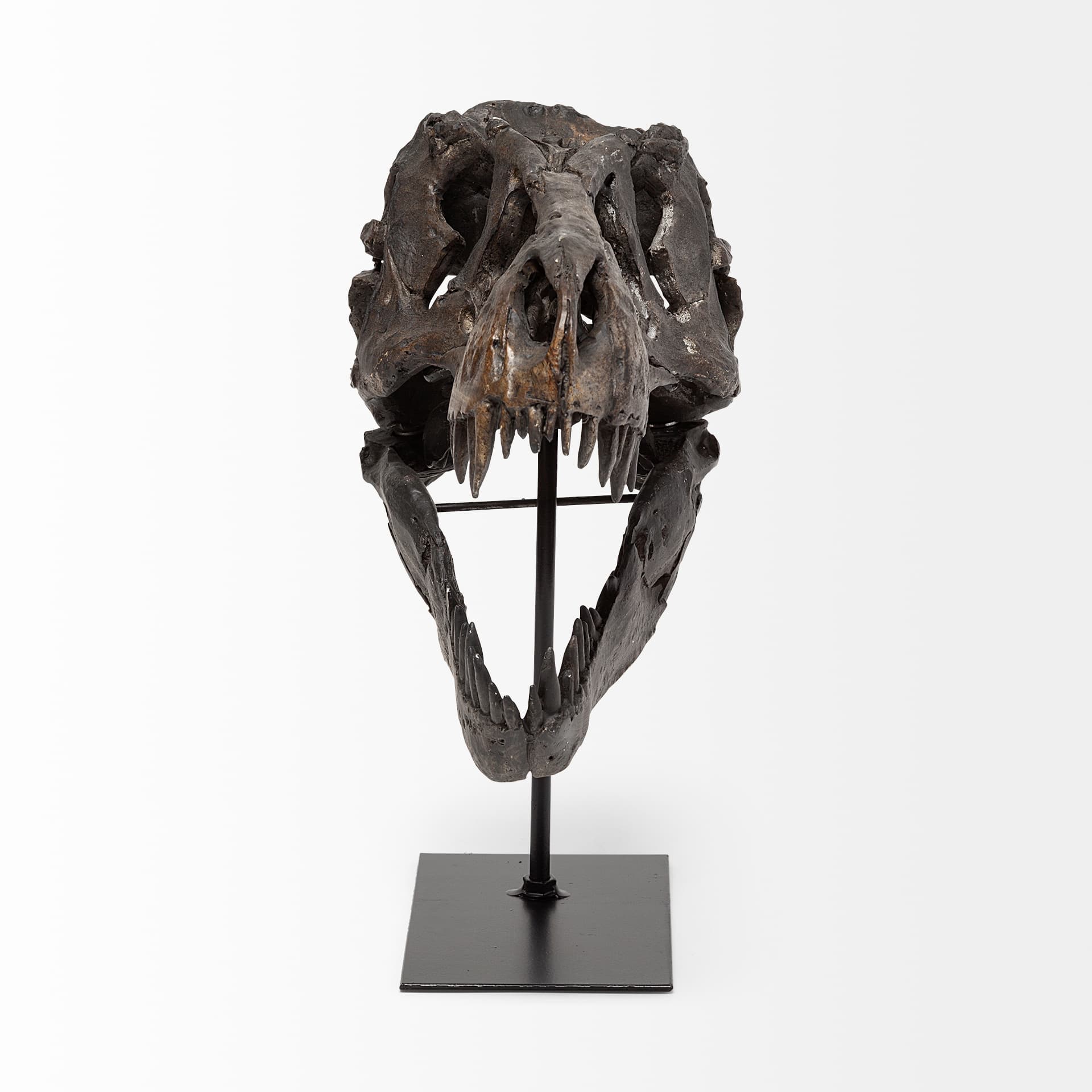 Jurassic 6L x 10W Brown Resin Tyrannosaurus Skull Replica — product photograph