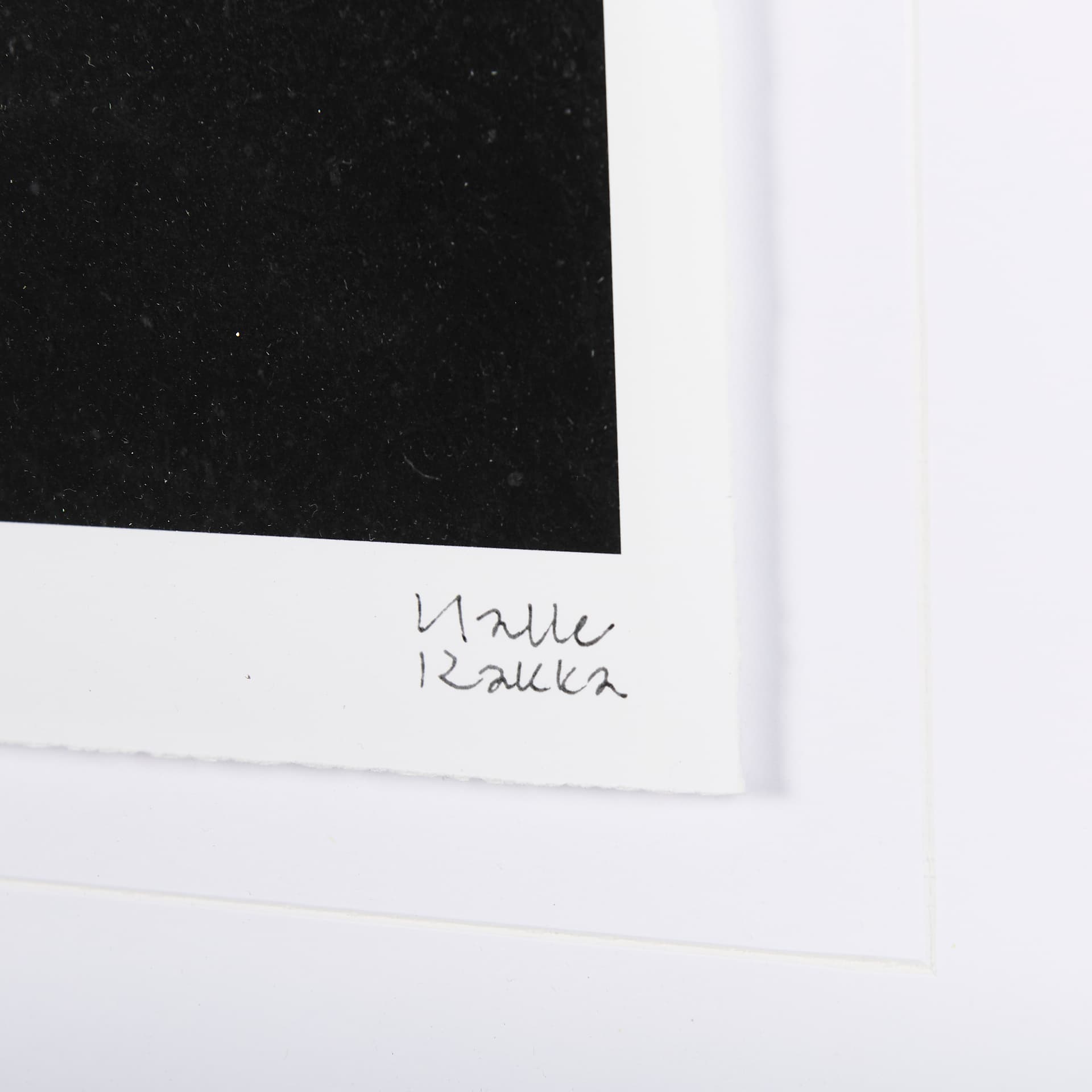 Midnight Flower I by Mercana Studio a Framed Art Print Matted under Glass — product photograph