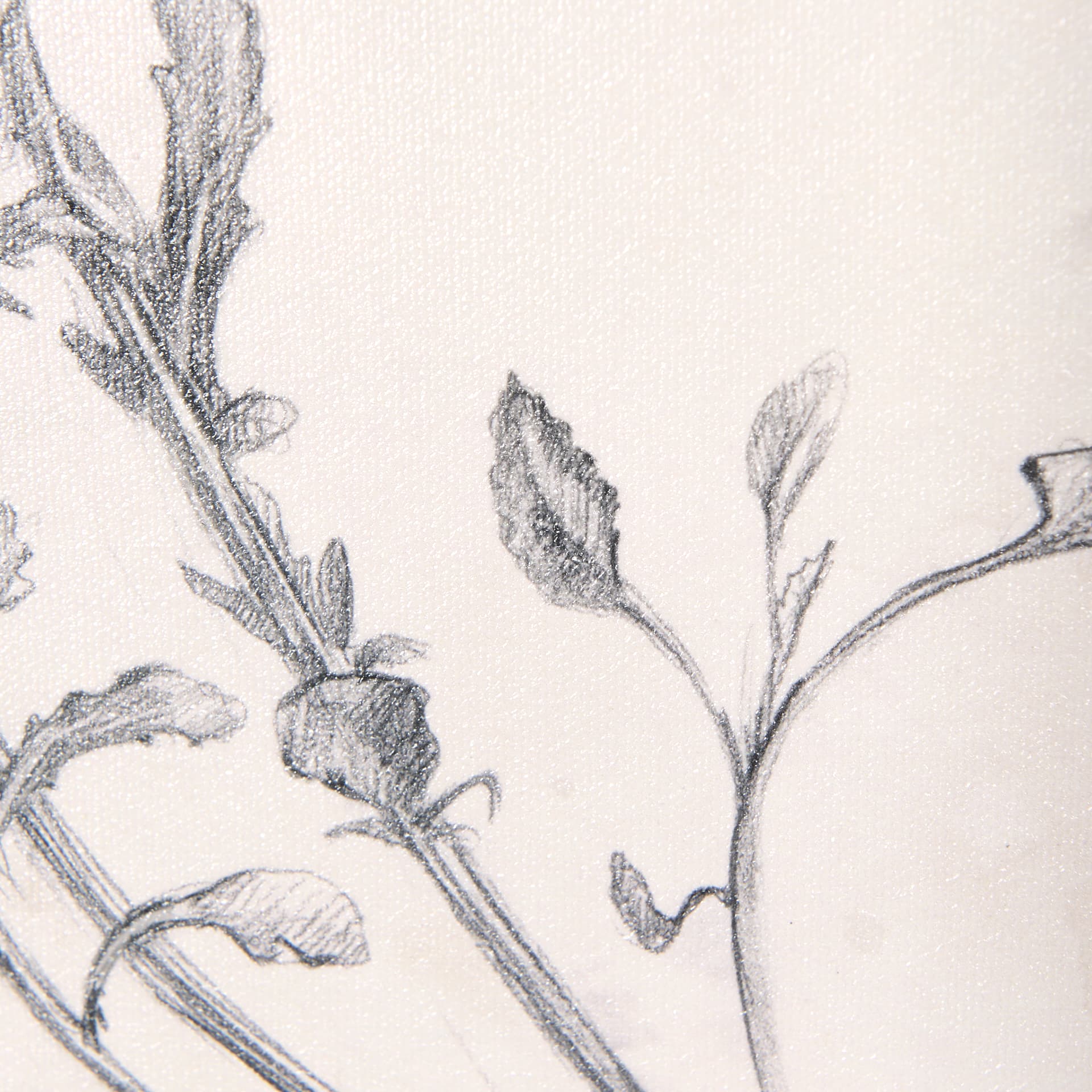 Chamomile Drawing I by Mercana Studio a Hand Embellished Textured Framed Art Print — product photograph