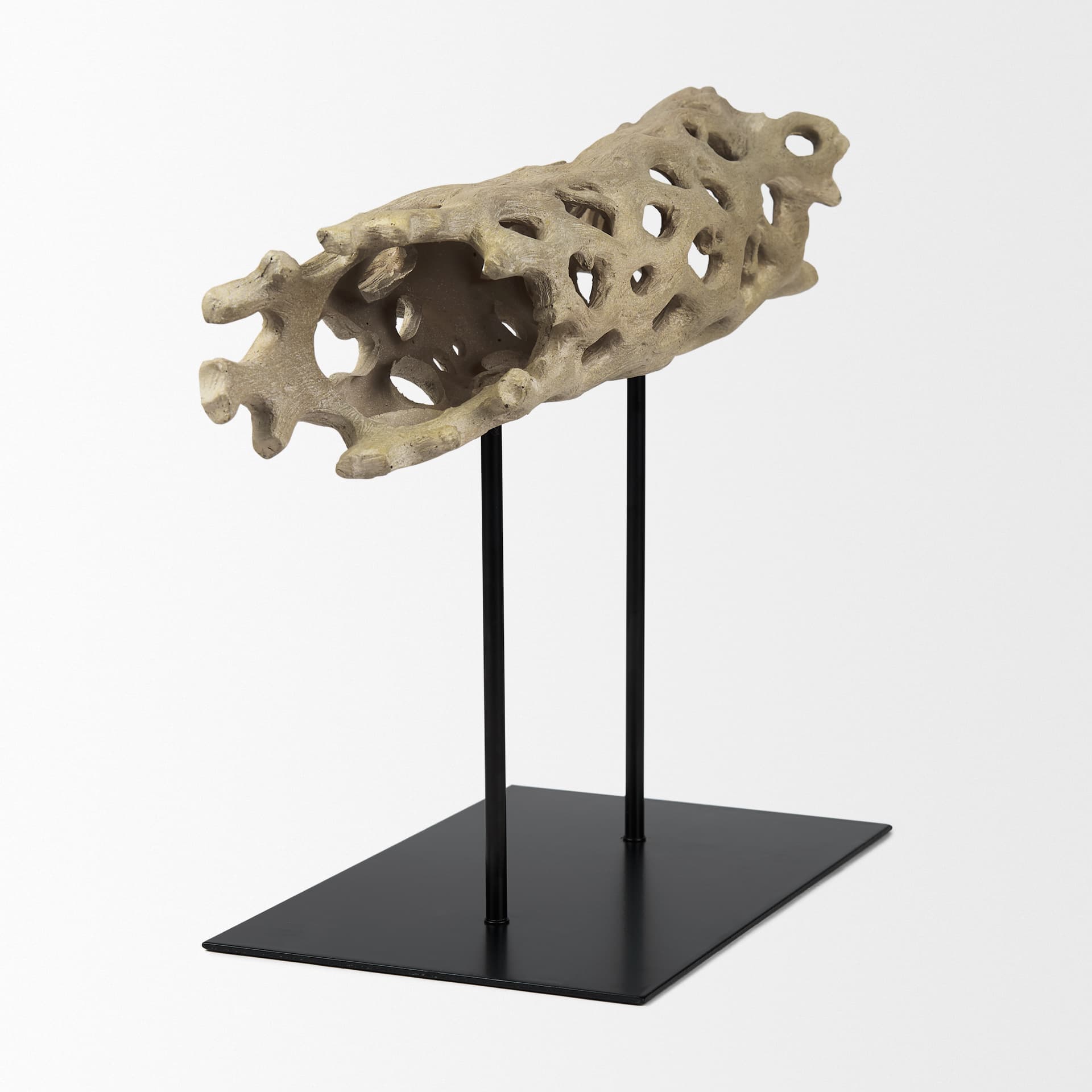 Dwell Cholla Wood Resin Decorative Object — product photograph
