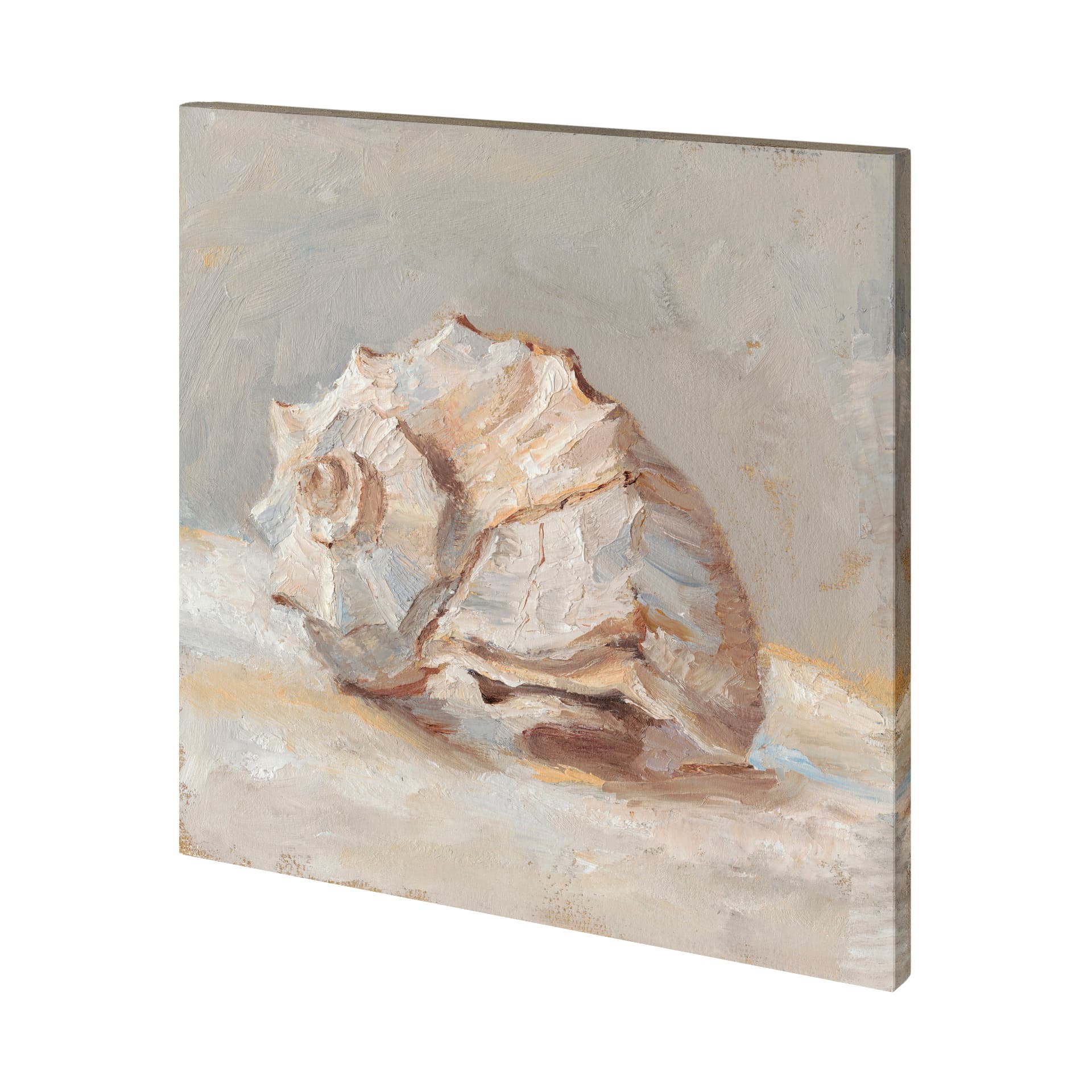Impressionist Shell Study II by Mercana Studio a Hand Embellished Textured Canvas — product photograph