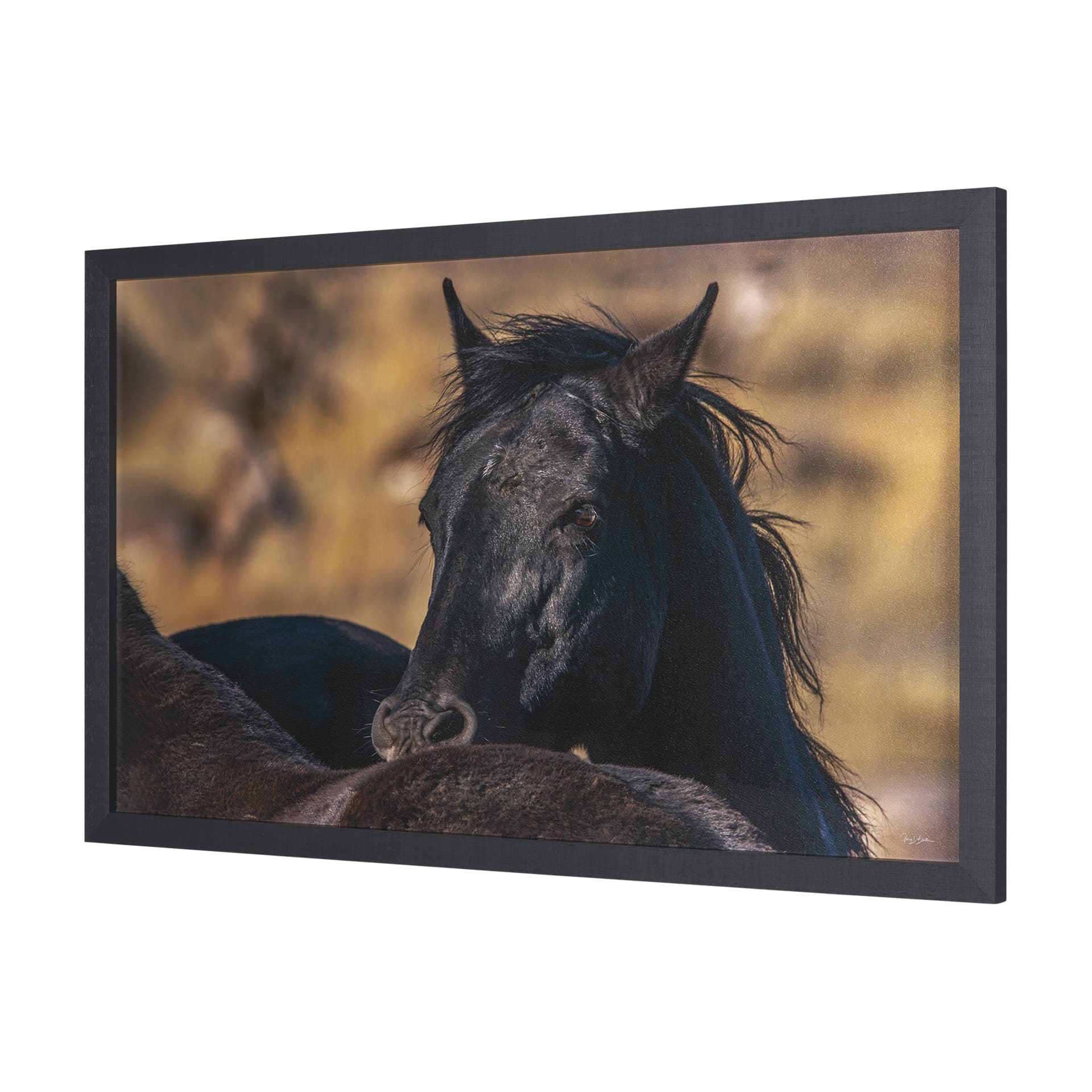 Wild Horses by Gary Blatter a Hand Embellished Textured Framed Photo Art Print — product photograph
