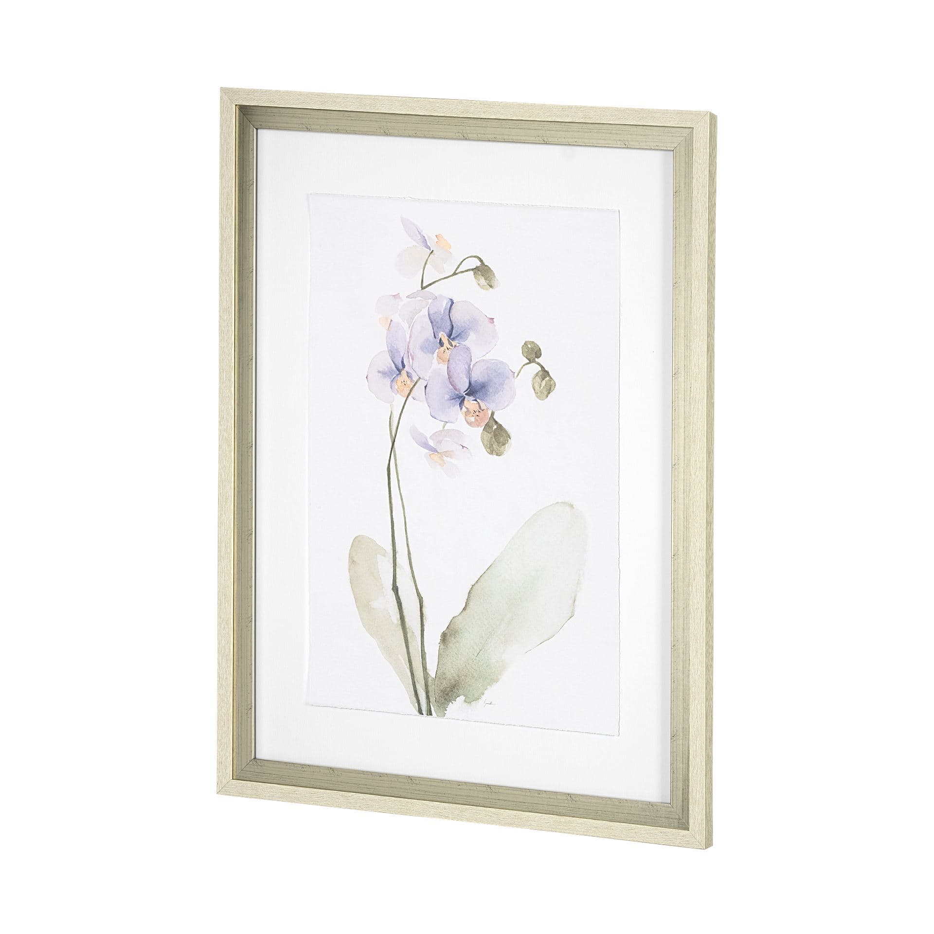 Orchid I by Gabrielle Campbell a Framed Art Print Matted under Glass — product photograph