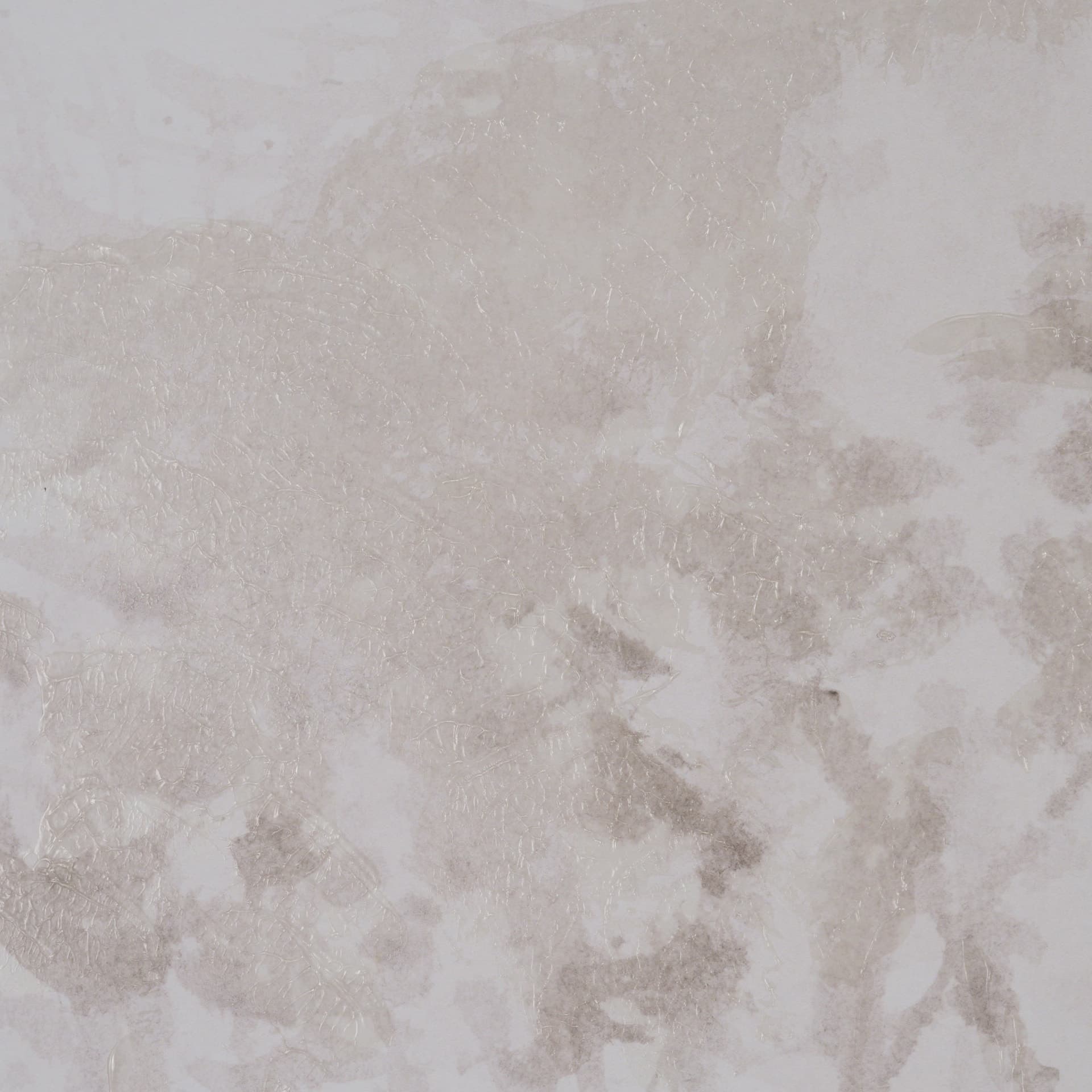 Quiet Canopy II by Mercana Studio Hand-Embellished Framed Artwork Matted under Glass — product photograph