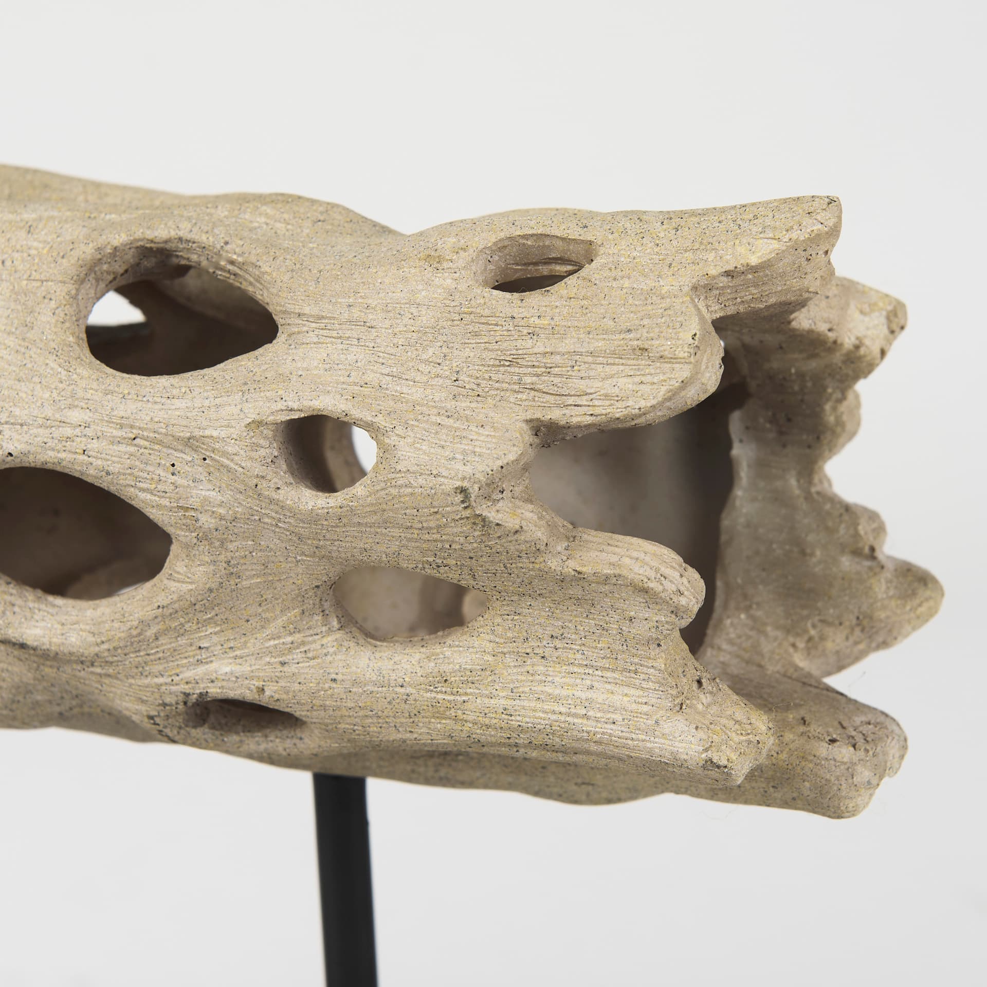 Dwell Cholla Wood Resin Decorative Object — product photograph