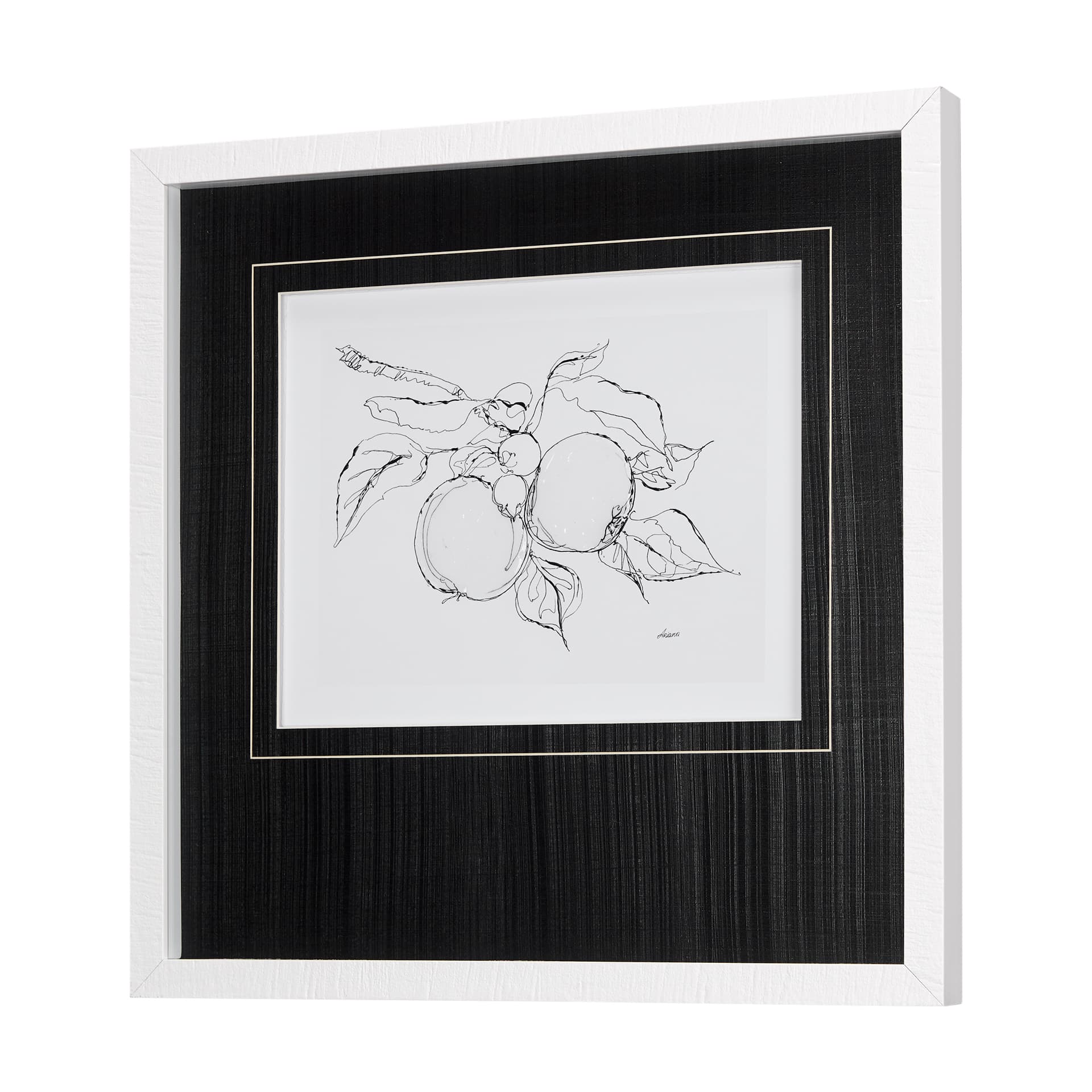 Fruit Sketch Apple by Mercana Studio a Hand Embellished Textured Framed Art Print Matted under Glass — product photograph