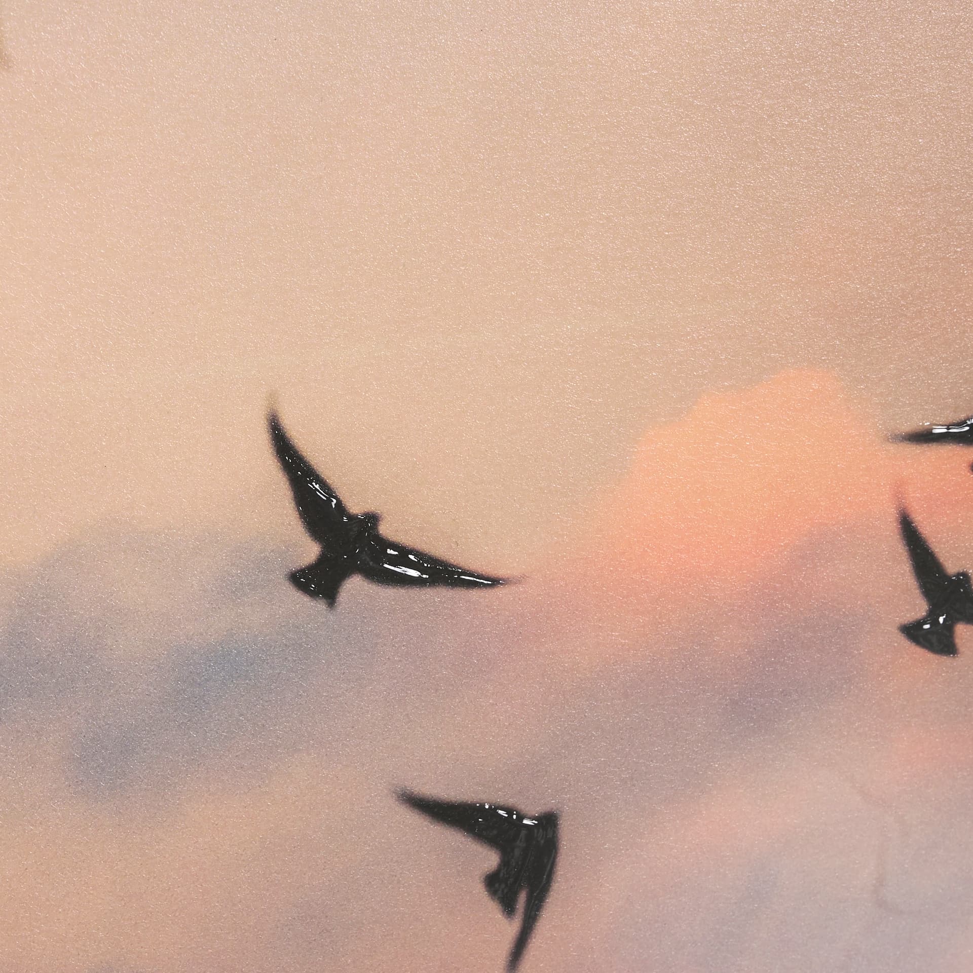 Evening Flight by Mercana Studio a Hand Embellished Textured Framed Photo Art Print Matted under Gla — product photograph