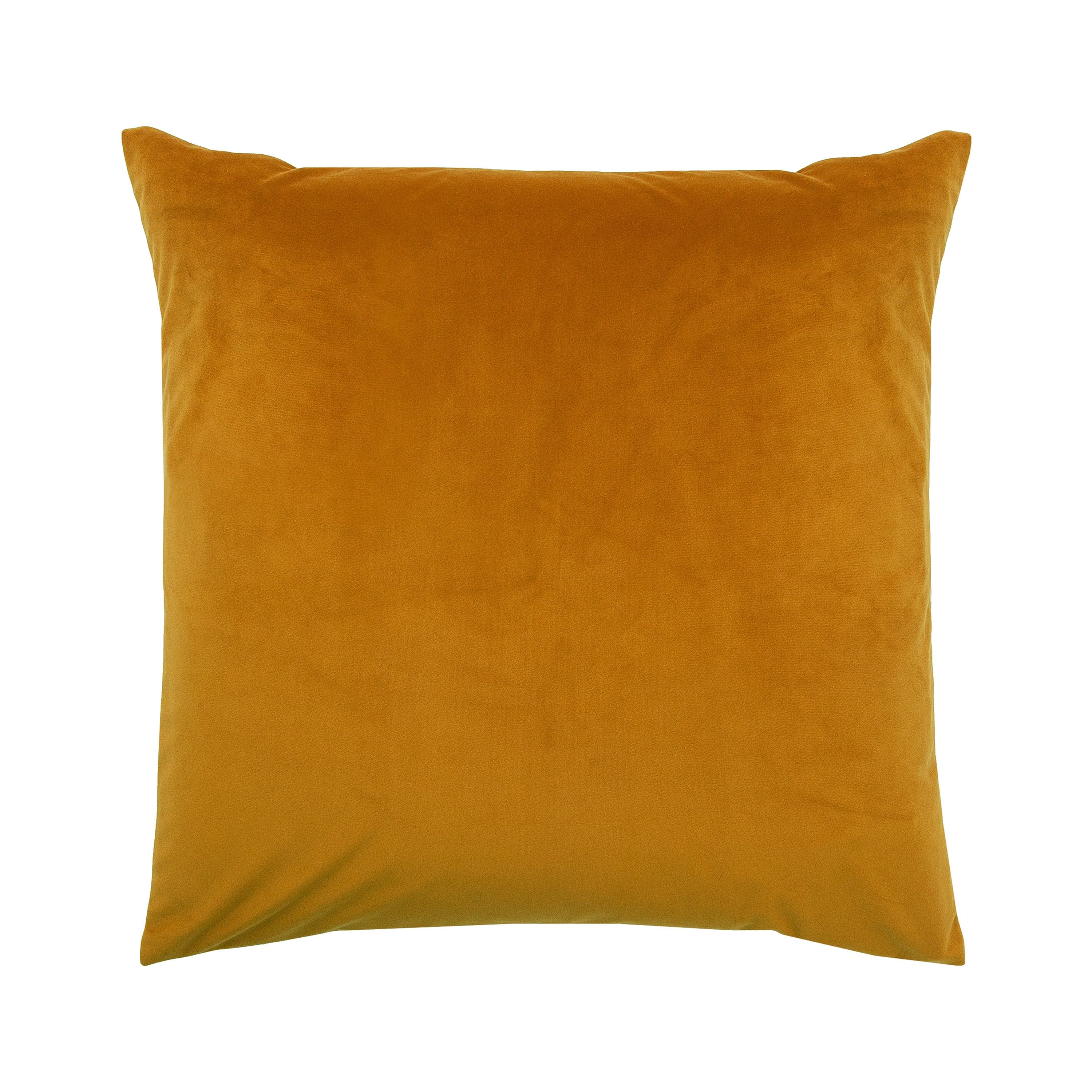 Prato — product photograph