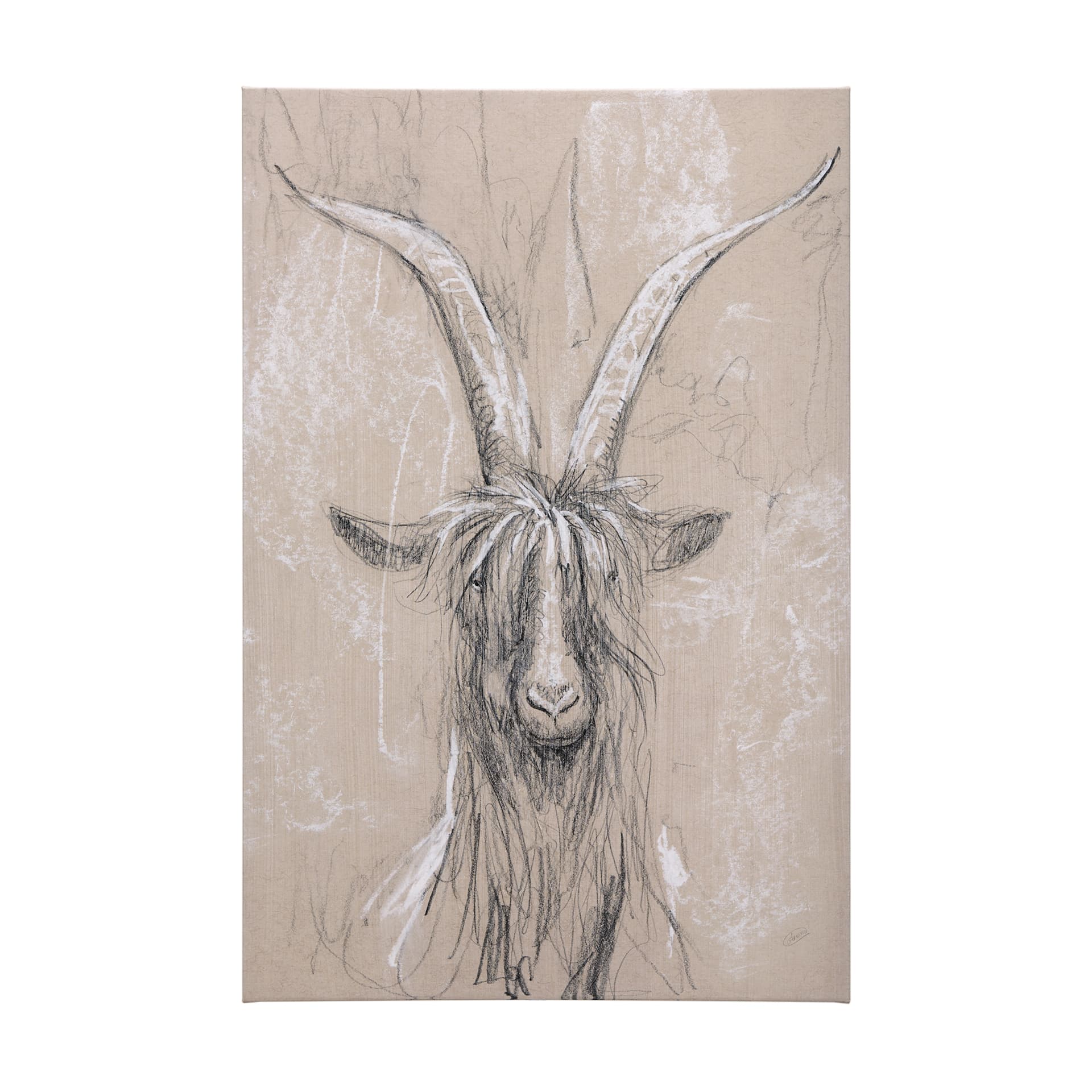 Sketch of animal V (Goat) by Mercana Studio a Hand Embellished Textured Canvas — product photograph