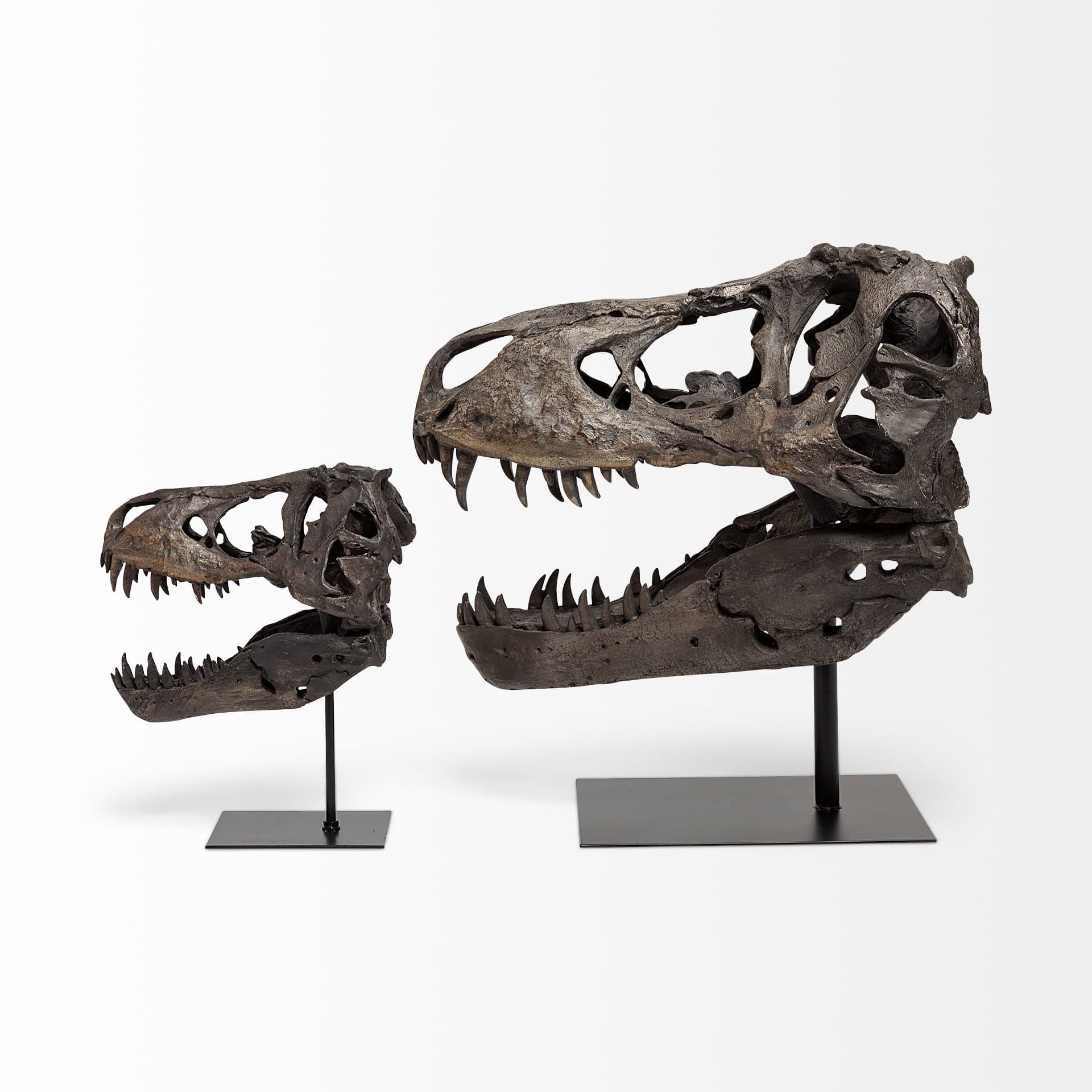 Jurassic 6L x 10W Brown Resin Tyrannosaurus Skull Replica — product photograph
