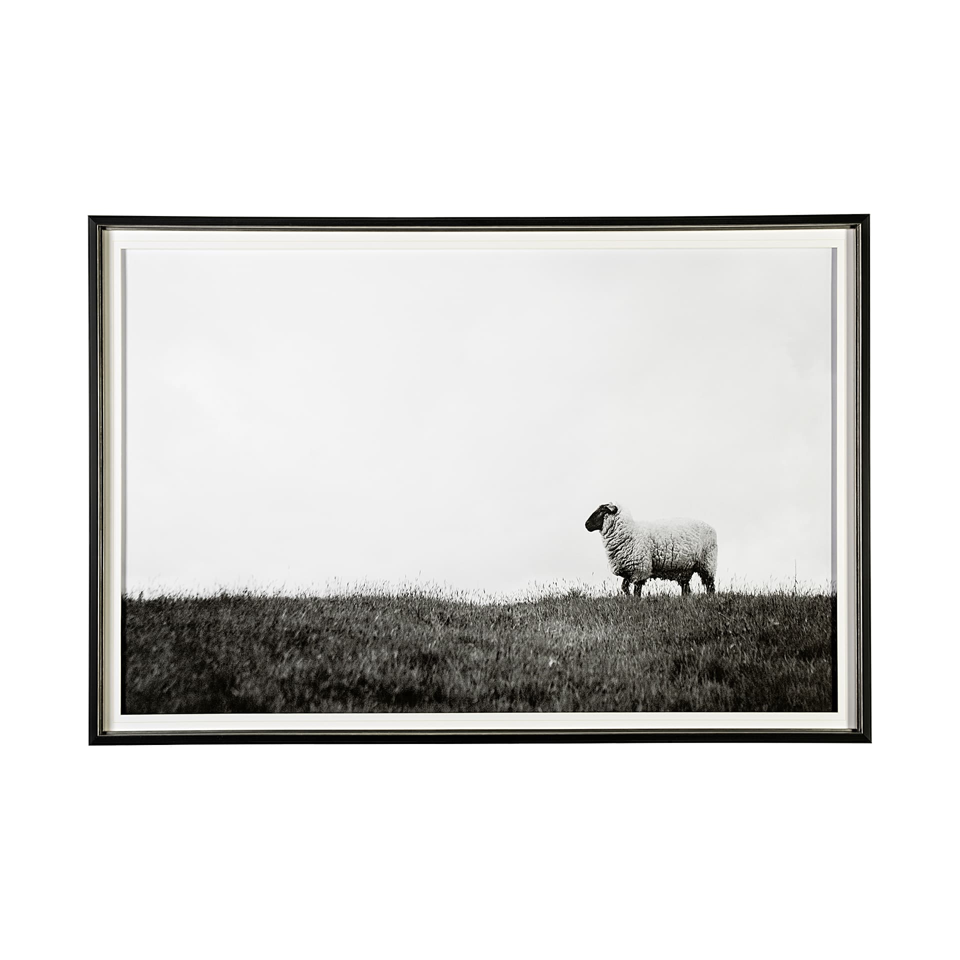 Islay Sheep II by Laura Marshall a Framed Photo Art Print Matted under Glass — product photograph