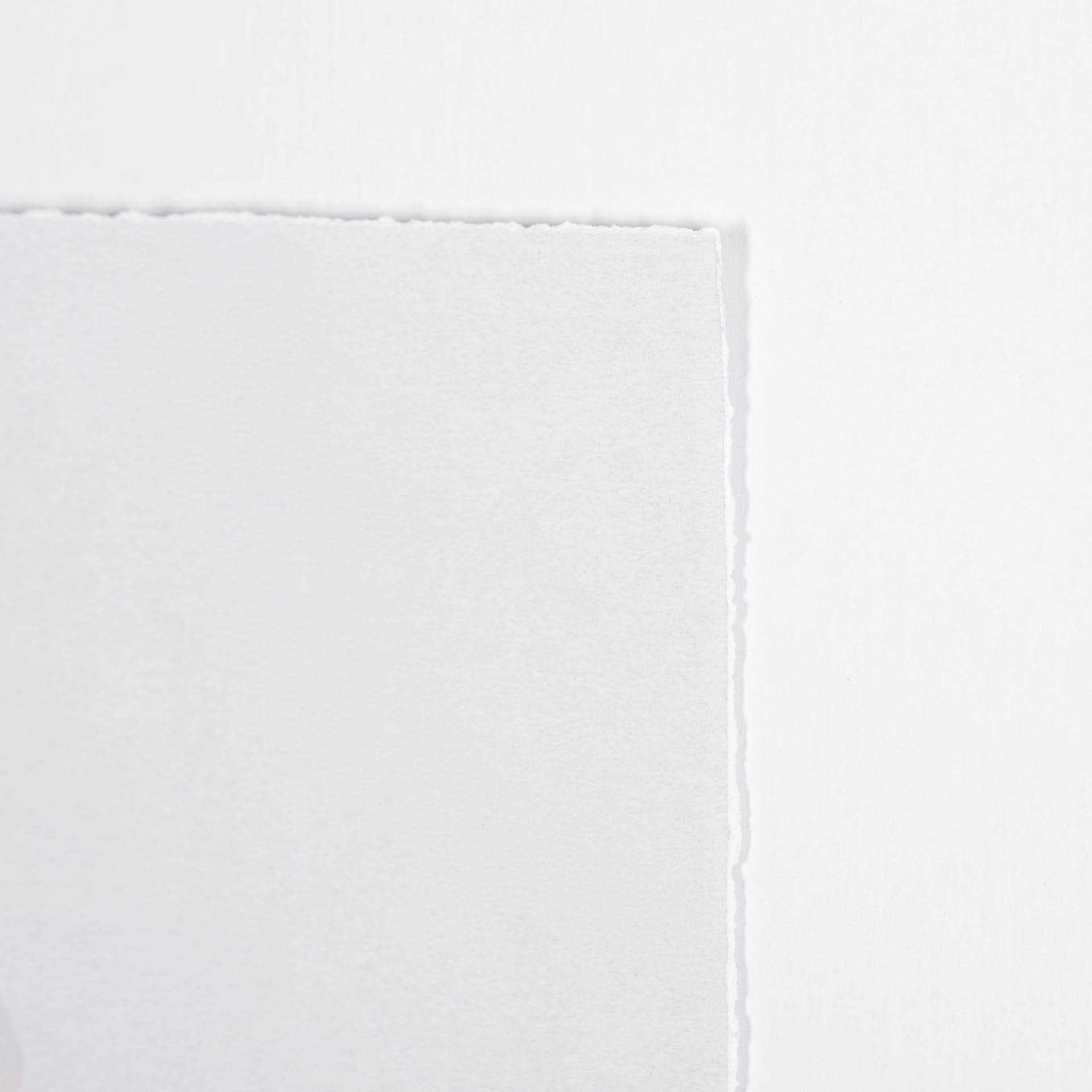 Orchid II by Gabrielle Campbell a Framed Art Print Matted under Glass — product photograph