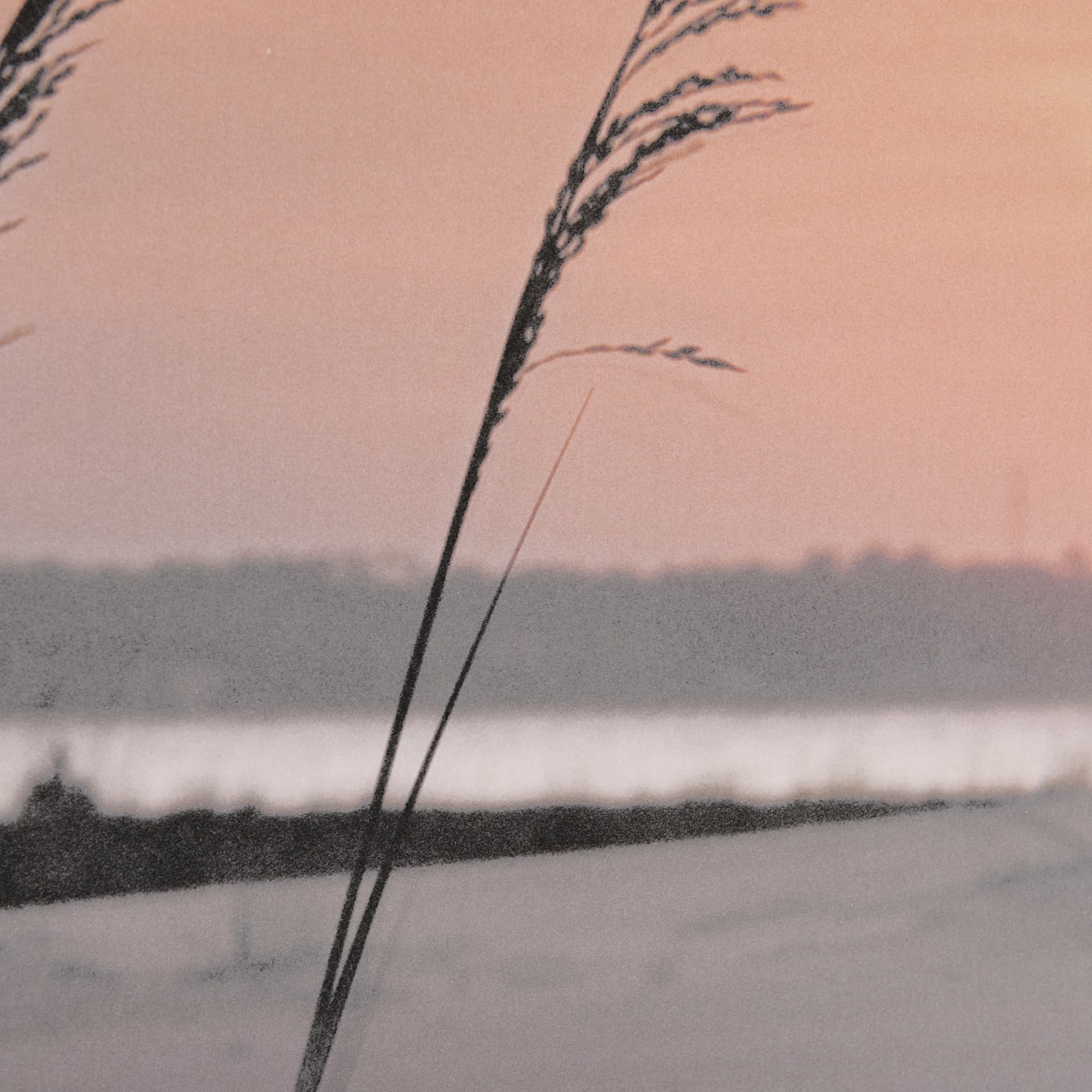 Seashore Sunset by Mercana Studio a Framed Photo Art Print Matted under Glass — product photograph