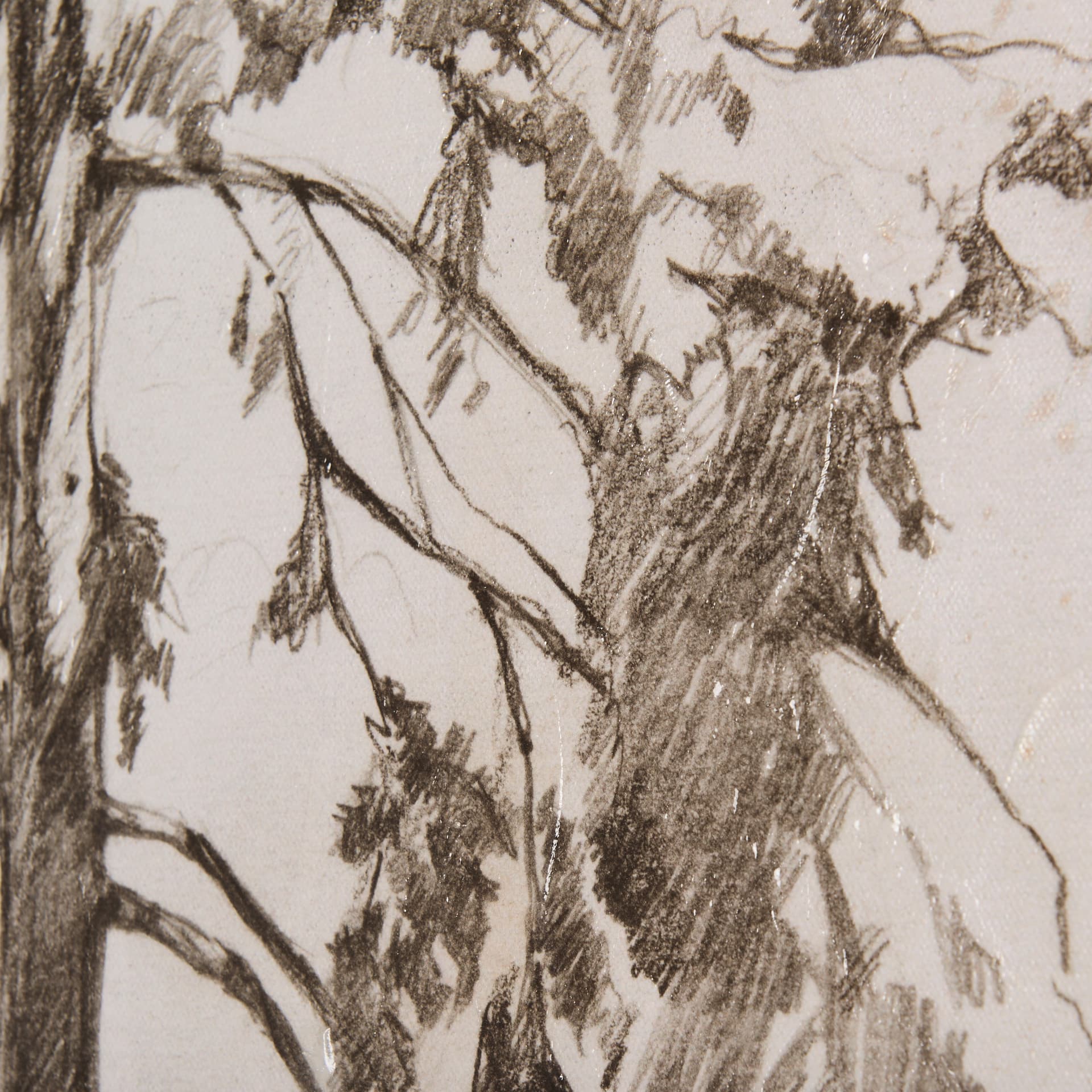 Westcoast Tree Drawing II by Mercana Studio a Hand Embellished Textured Canvas — product photograph