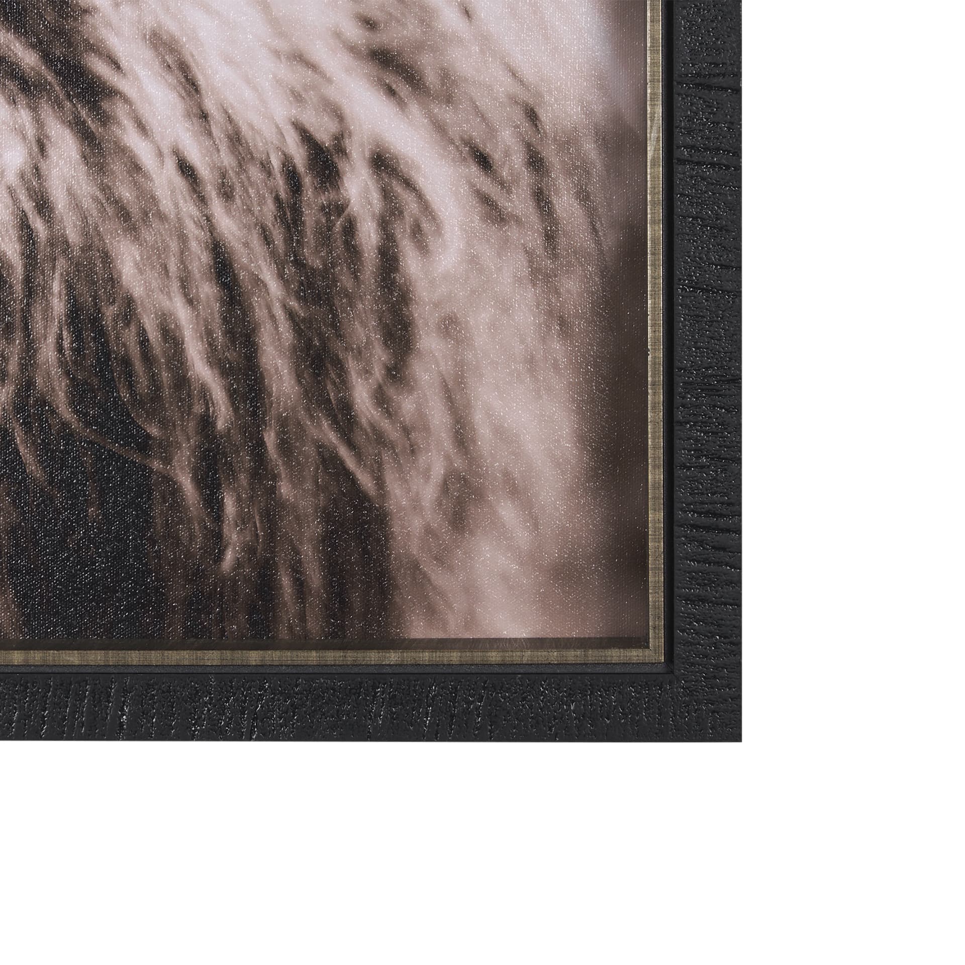 Highland Stare by Chad Mackay a Hand Embellished Textured Framed Photo Art Print — product photograph