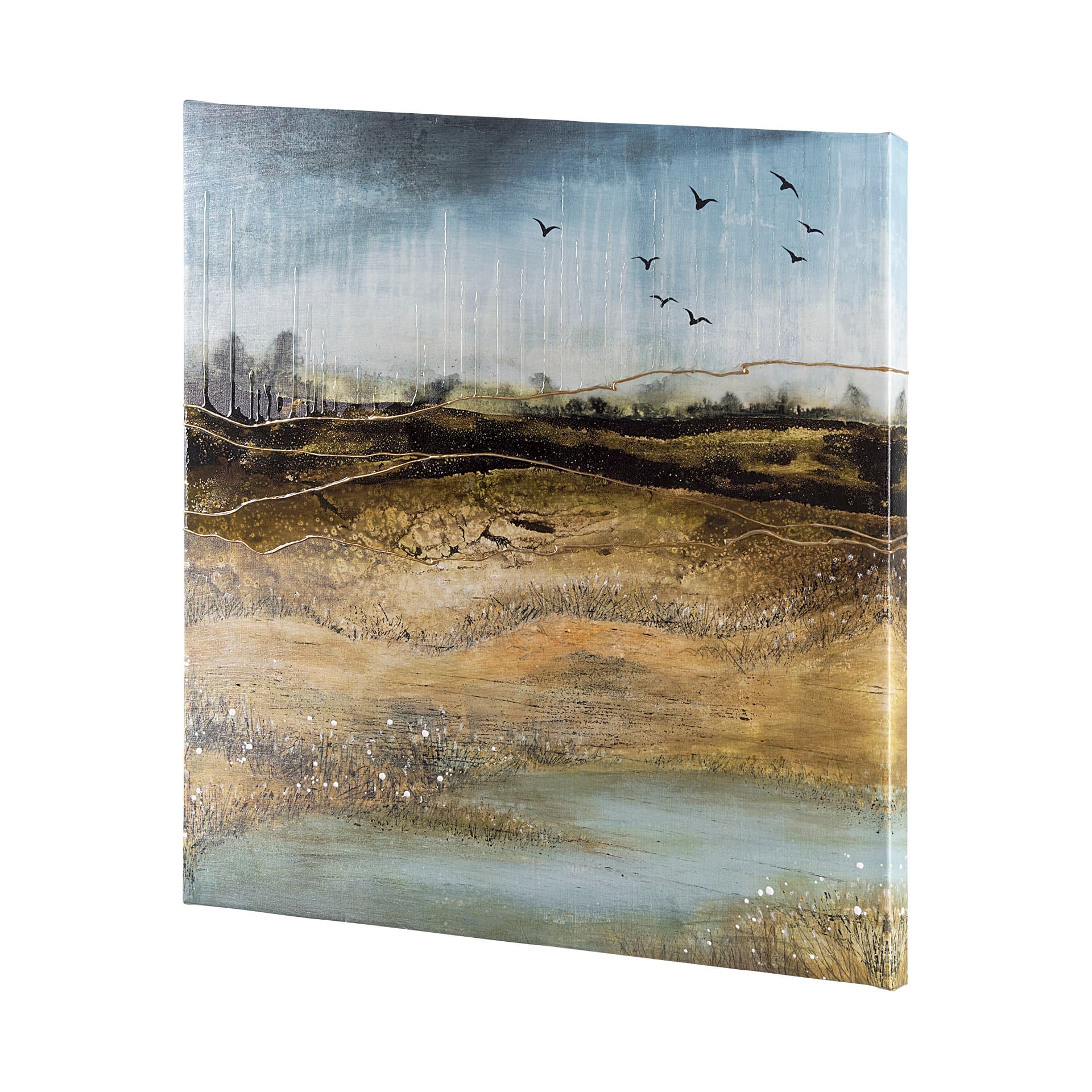 Daily Fly Over by Julie Devine a Canvas Print — product photograph