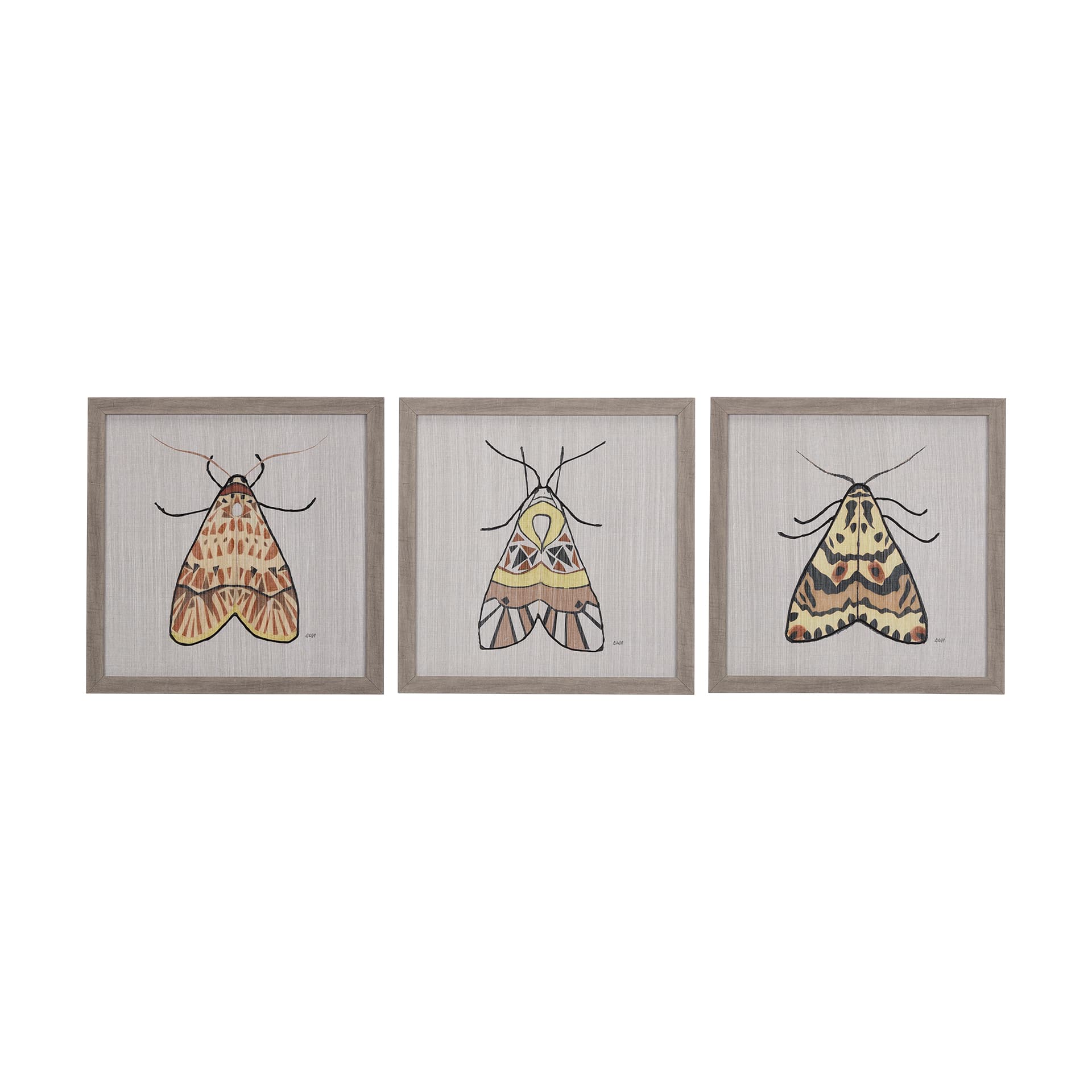 Moth I by Mercana Studio a Hand Embellished Textured Framed Art Print — product photograph