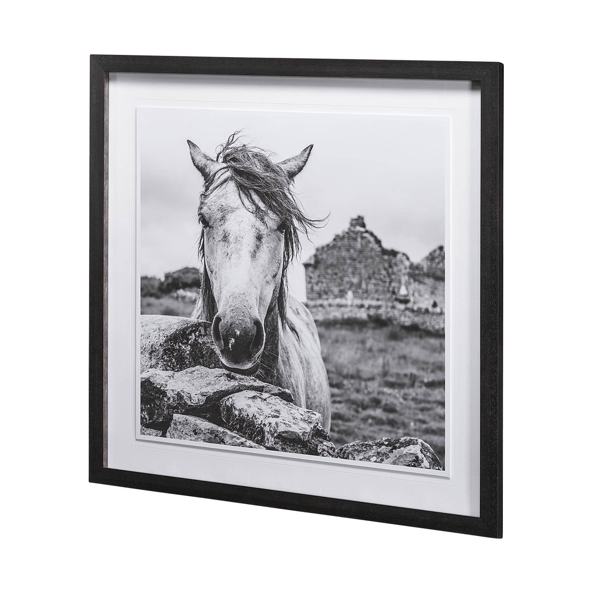 Ireland Black & White by Arabella Studios a Framed Photo Art Print Matted under Glass — product photograph