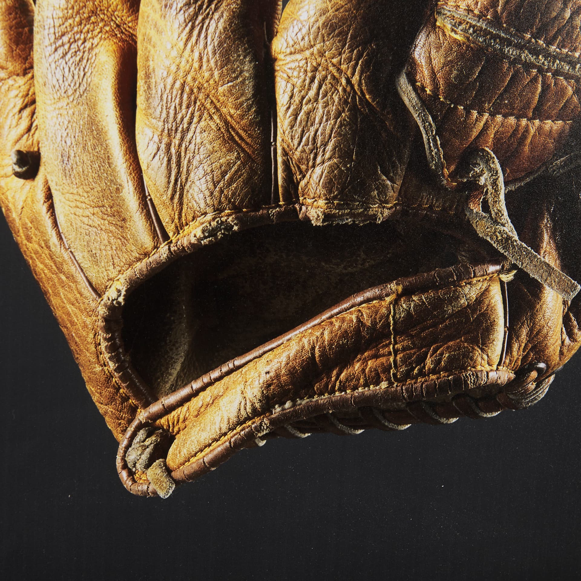 Pop Fly IV by Mercana Studio a Hand Embellished Textured Framed Photo Art Print Matted under Glass — product photograph