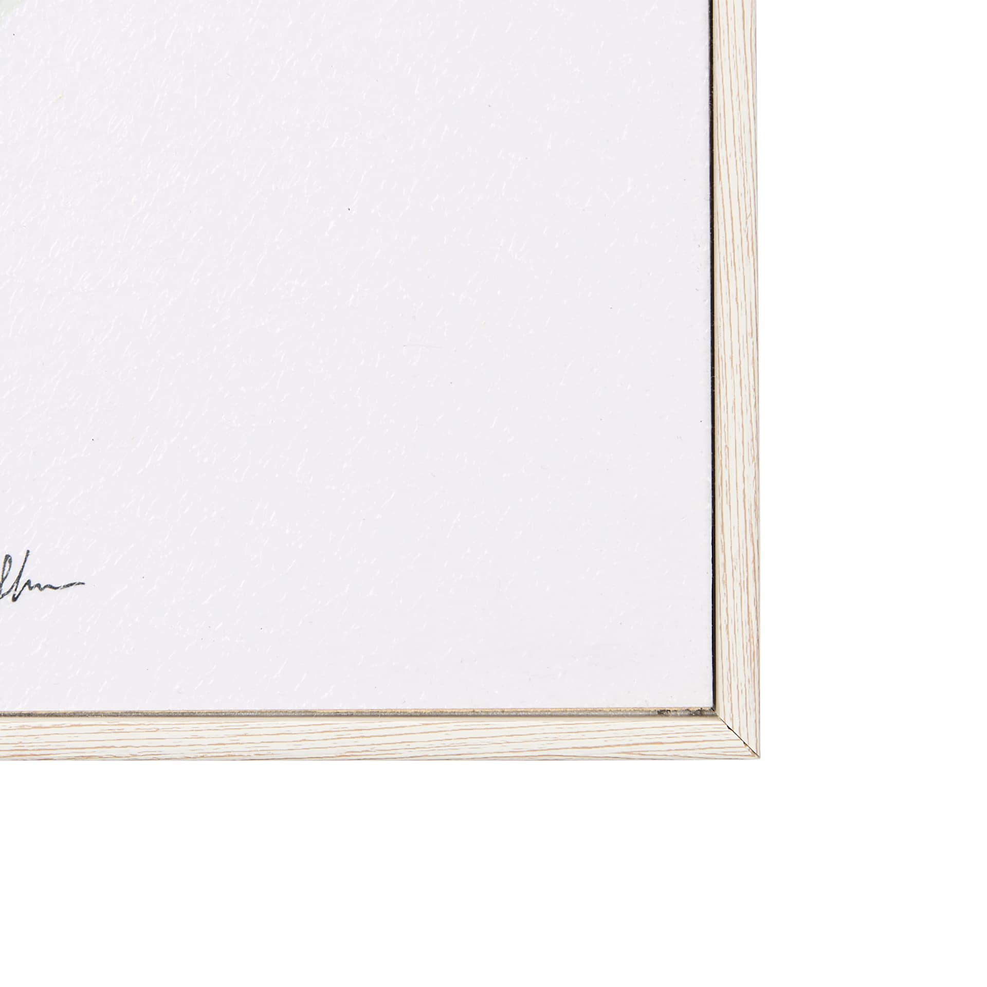 Dianthus I by Mercana Studio a Hand Embellished Textured Framed Art Print — product photograph