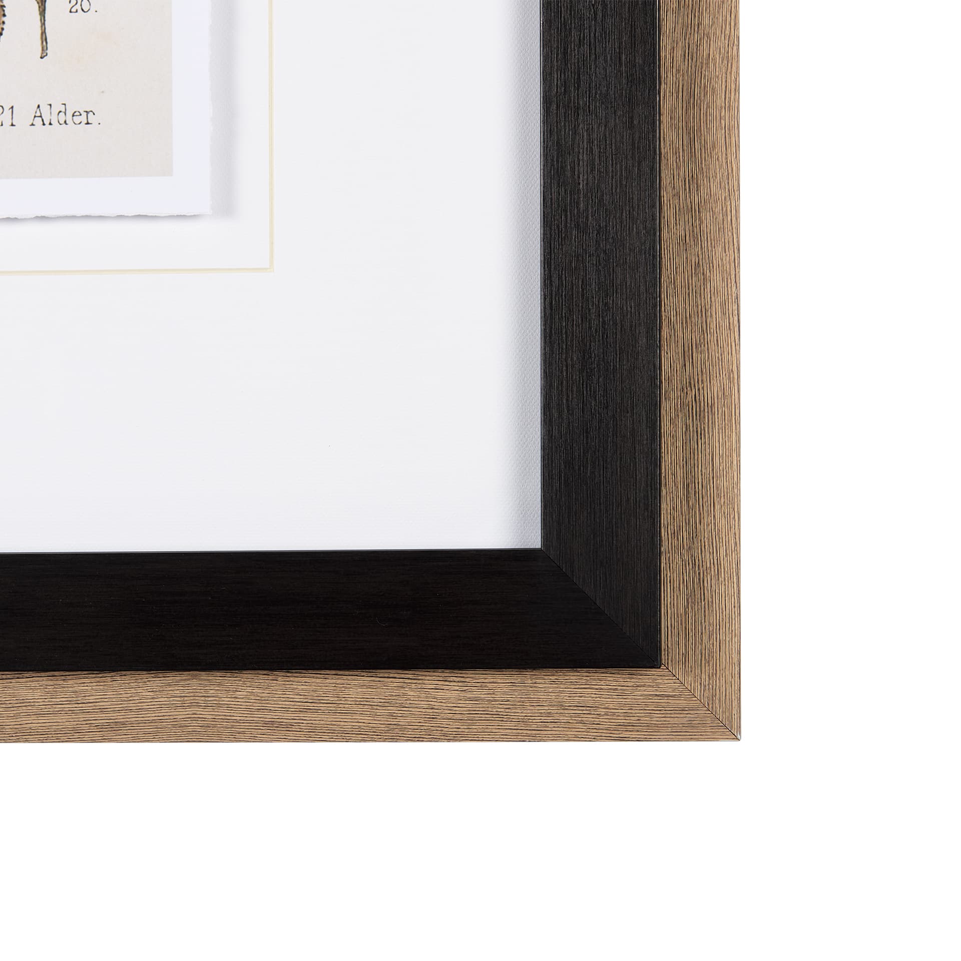Autumnal Leaves VI by Vision Studio a Framed Art Print Matted under Glass — product photograph