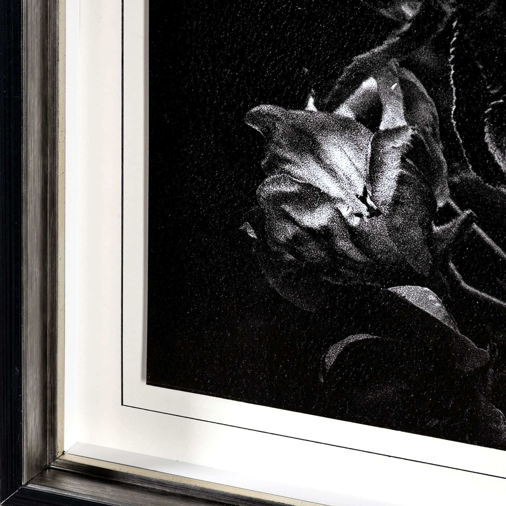 Dark Blossoms by Brian Carson a Hand Embellished Textured Framed Photo Art Print Matted under Glass — product photograph