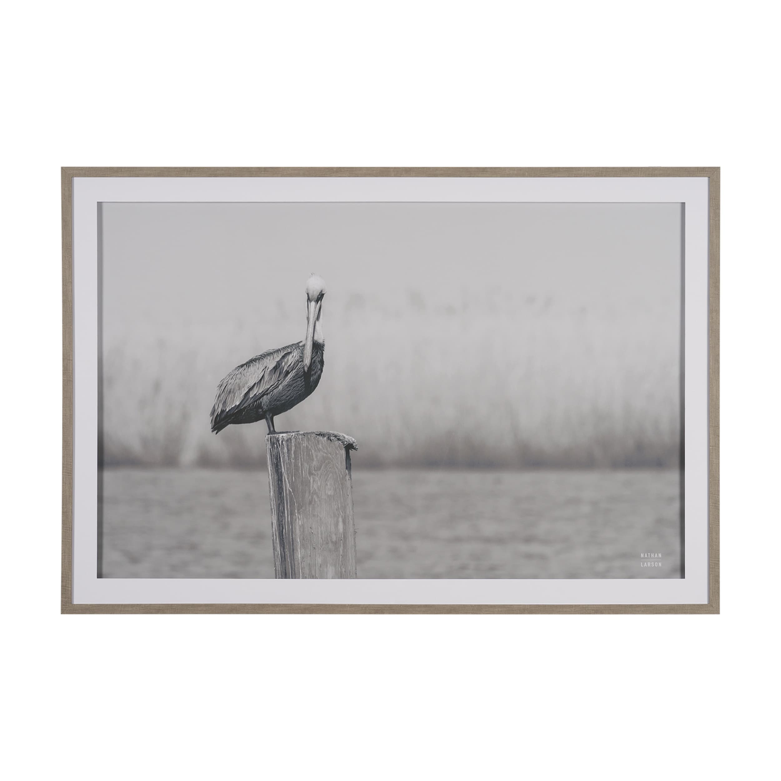 Pelican Stories by Nathan Larson Framed Art Print Matted under Glass — product photograph