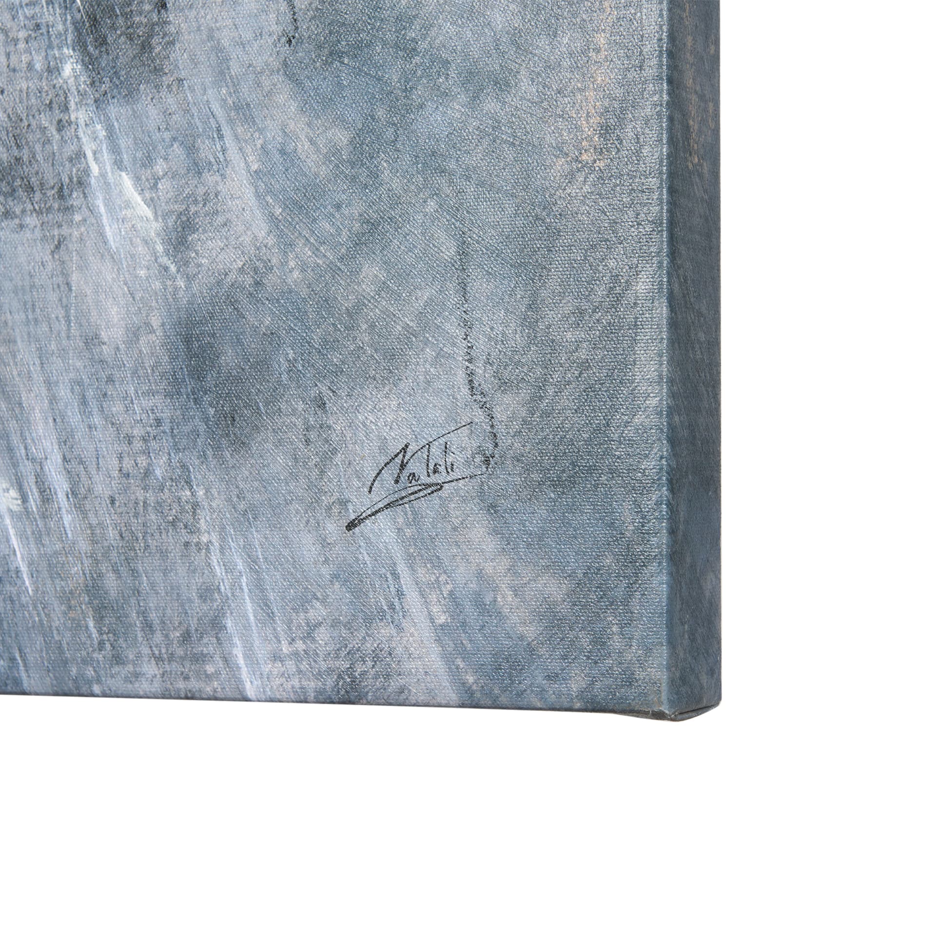 Animal Portrait II by Mercana Studio a Hand Embellished Textured Canvas — product photograph