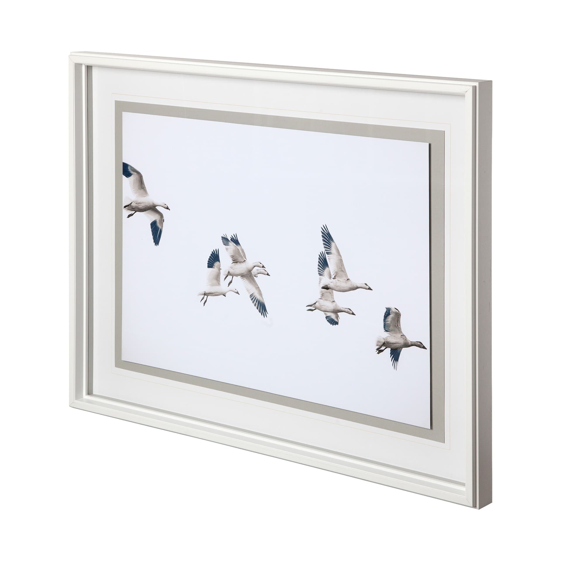 Winged Migration by Nancy Crowell a Framed Photo Art Print Matted under Glass — product photograph