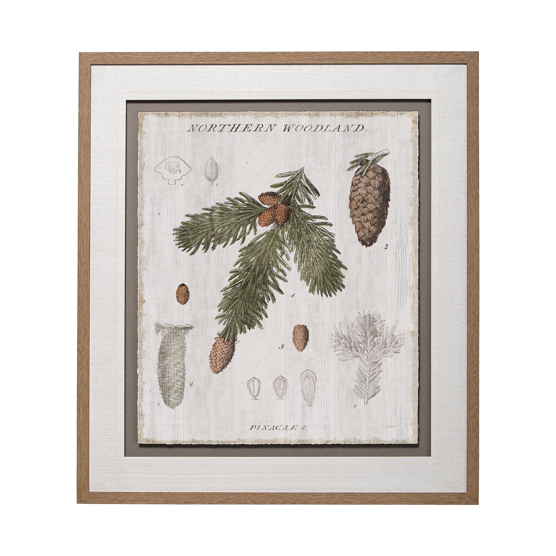 Woodland Chart V by Sue Schlabach a Hand Embellished Textured Framed Art Print Matted under Glass — product photograph