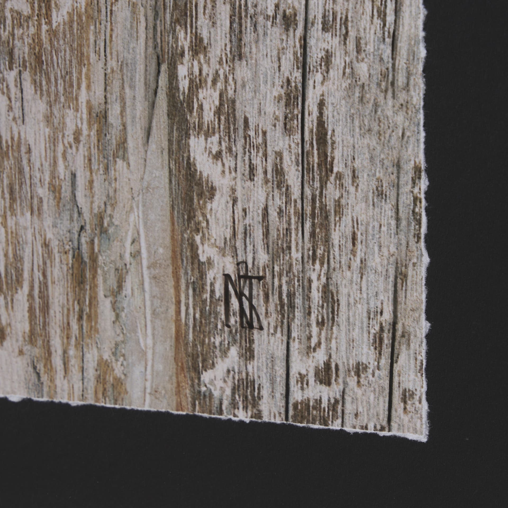Wood Grain Fish IV by Mercana Studio a Hand Embellished Textured Framed Art Print Matted under Glass — product photograph