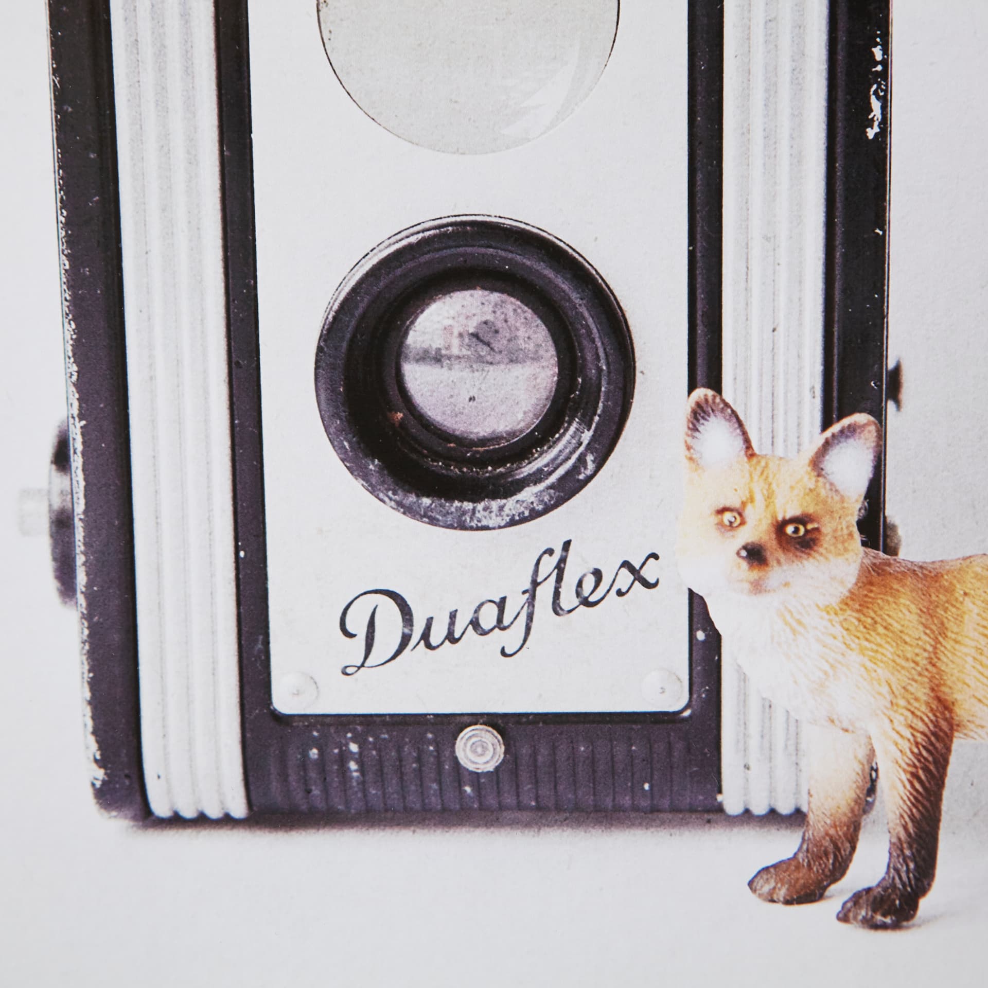 Fox & Vintage Camera by Susannah Tucker Photography a Framed Photo Art Print Matted under Glass — product photograph