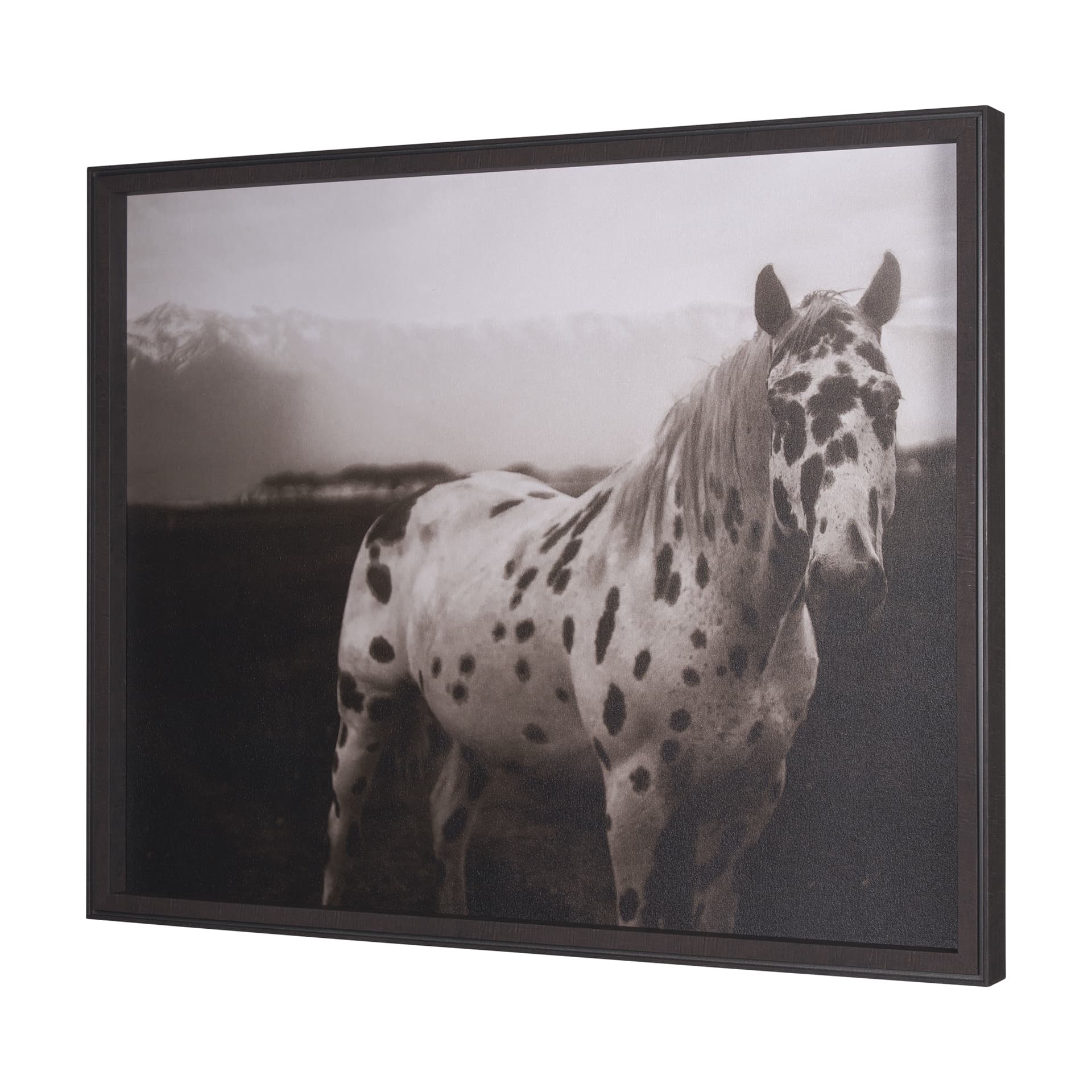 Spotted Solo Horse by Nathan Kane a Hand Embelished Textured Framed Photo Art Print — product photograph
