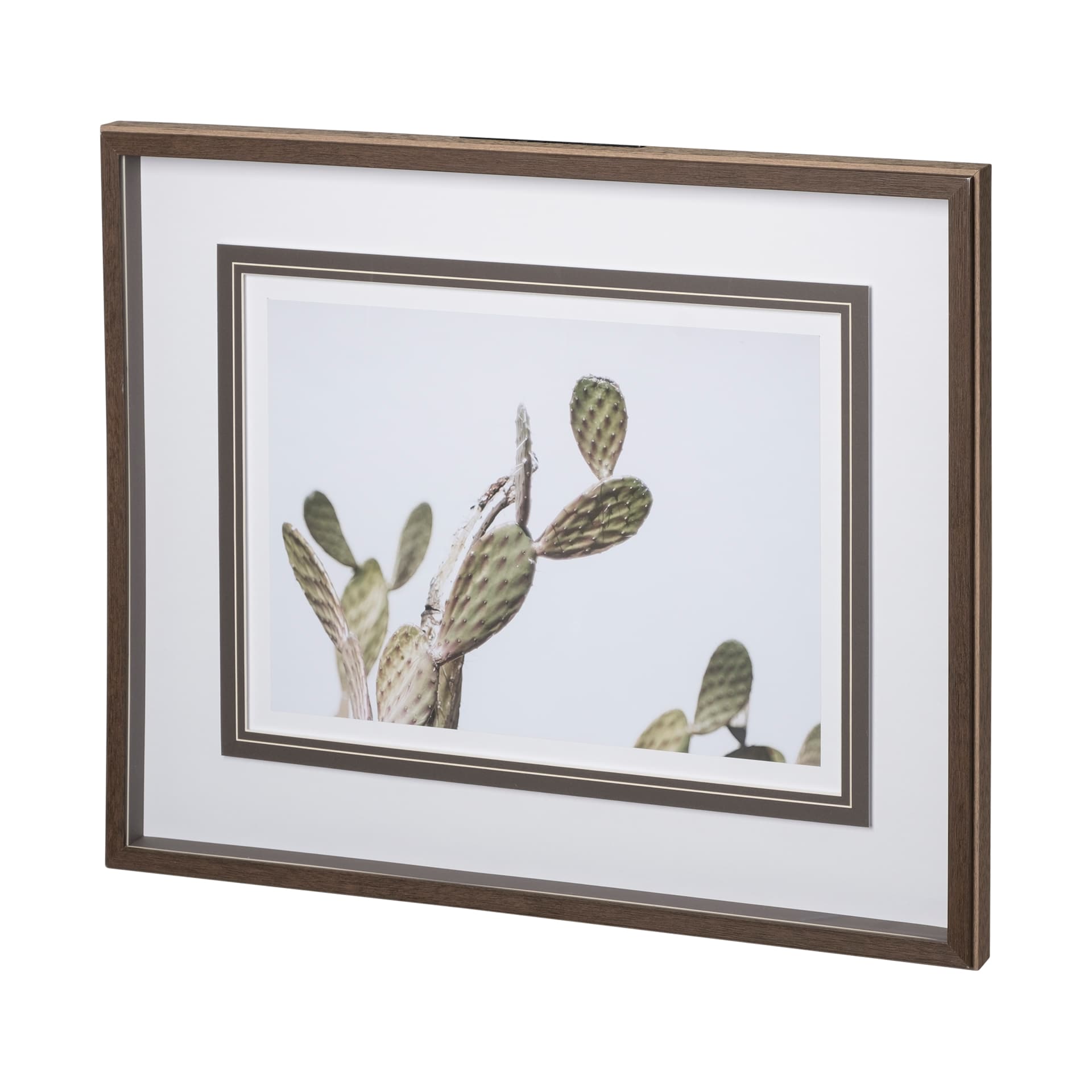AZ Botanical 37 by Dunker a Framed Art Print Matted under Glass — product photograph