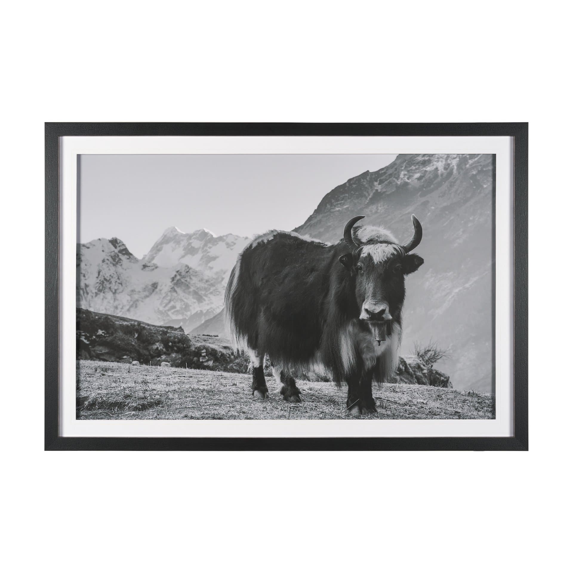Mountain Majesty - Stance by Matt Roseveare Framed Art Print Matted under Glass — product photograph