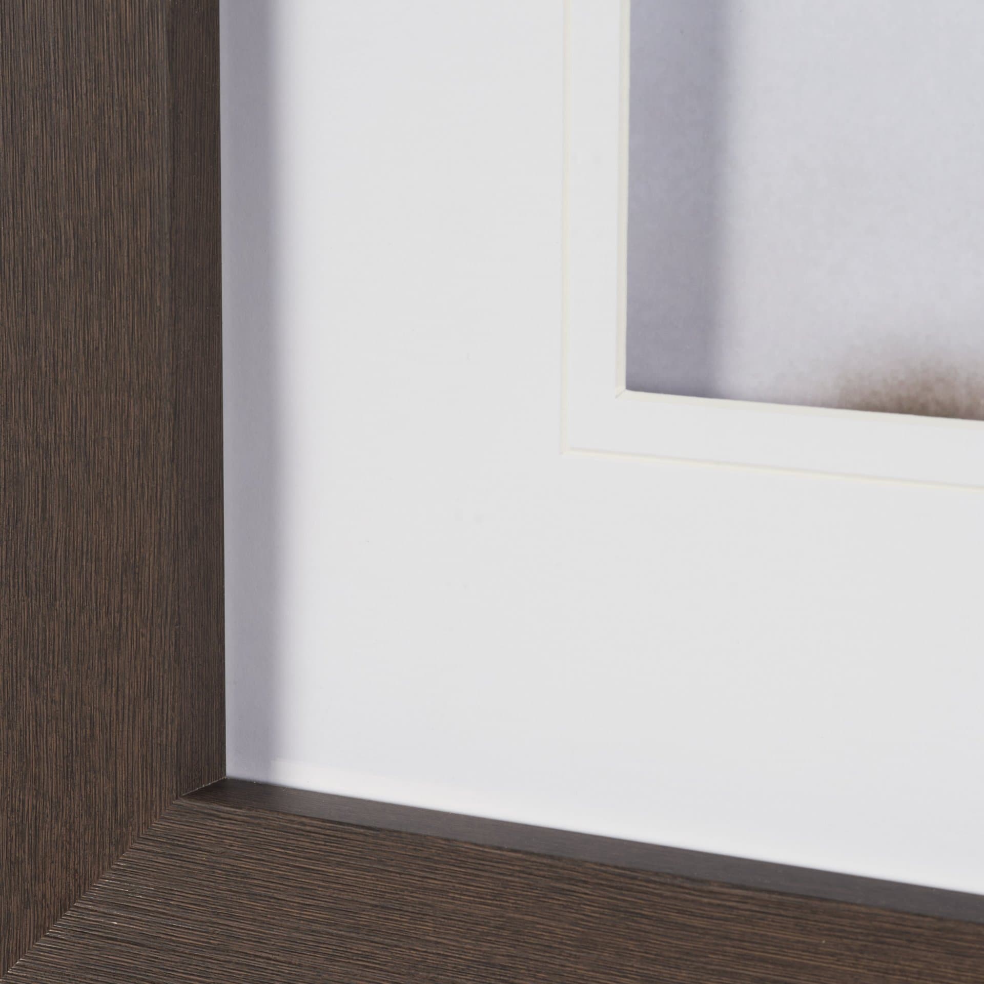 We See You Dogs by Jim Dratfield Framed Photo Print under Glass — product photograph