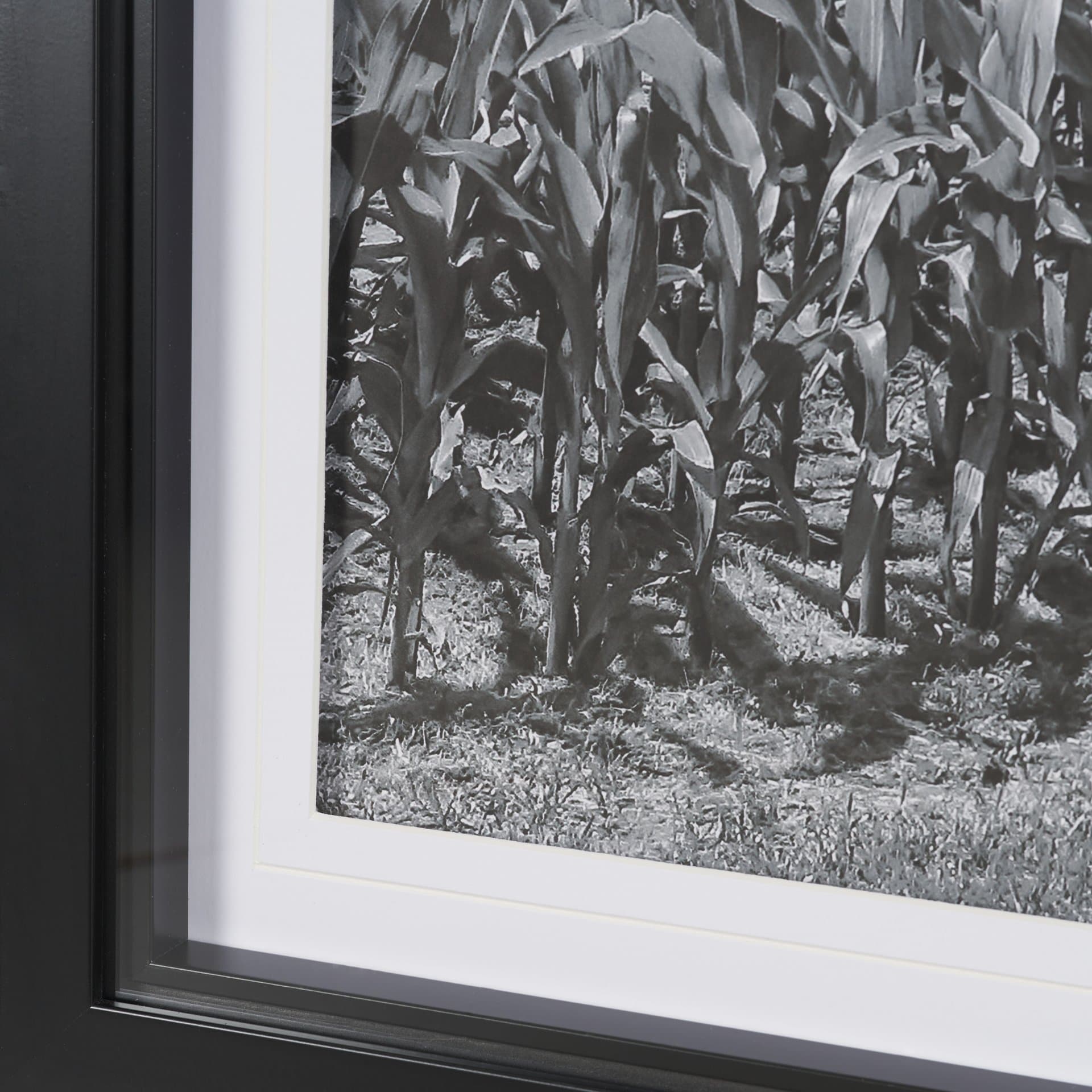 Farm Serenity II by Leda Robertson Textured FramedPhoto Print Matted under Glass — product photograph