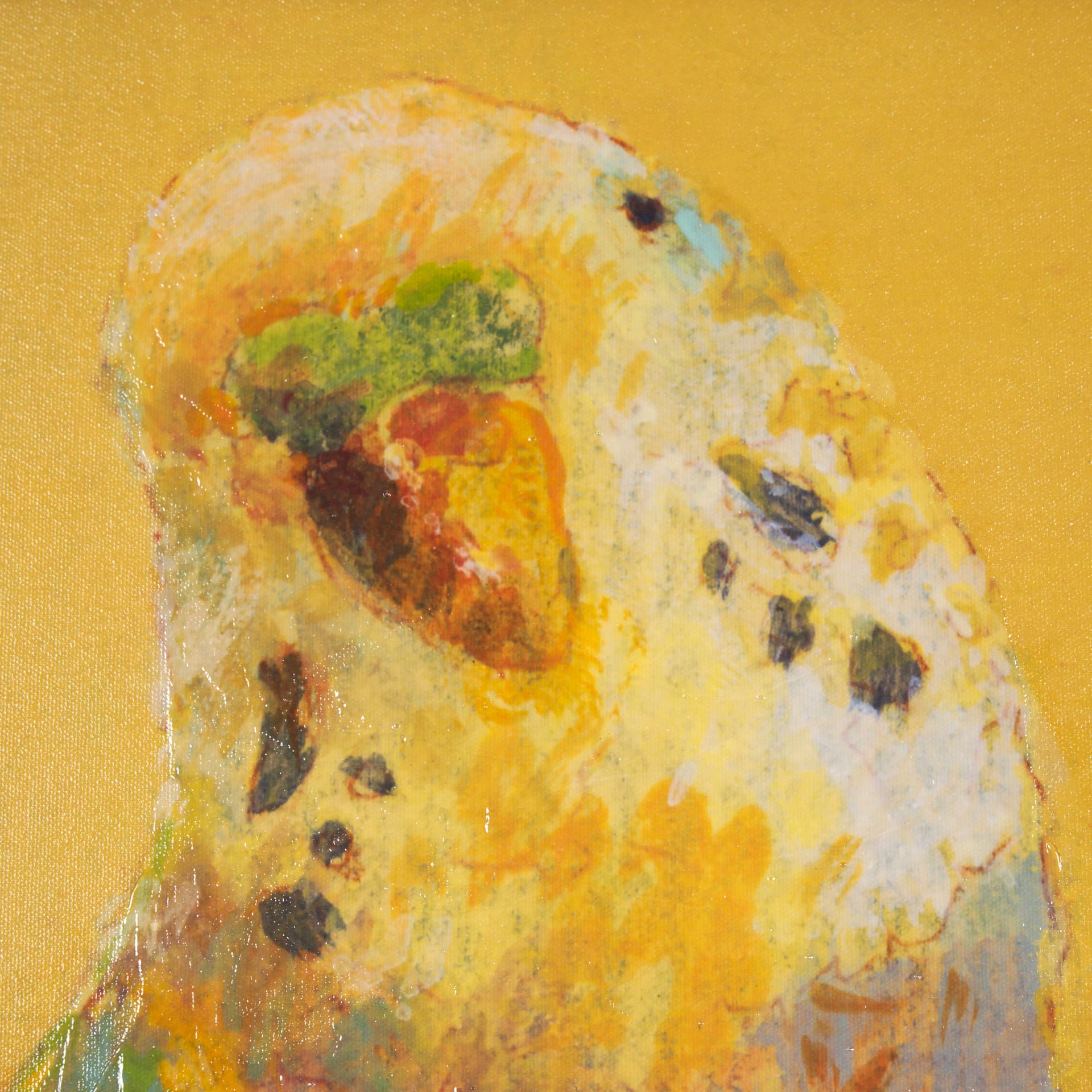 Bright Birds I by Roy Woodland a Hand Embellished Textured Framed Art Print — product photograph