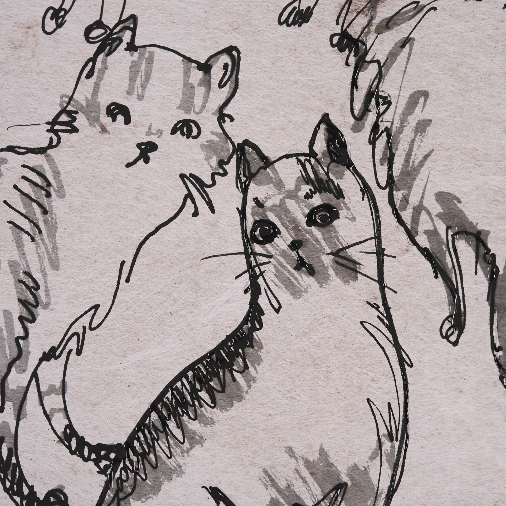 Cat Sketch by Mercana Studio a Hand Embellished Framed Art Print Matted under Glass — product photograph