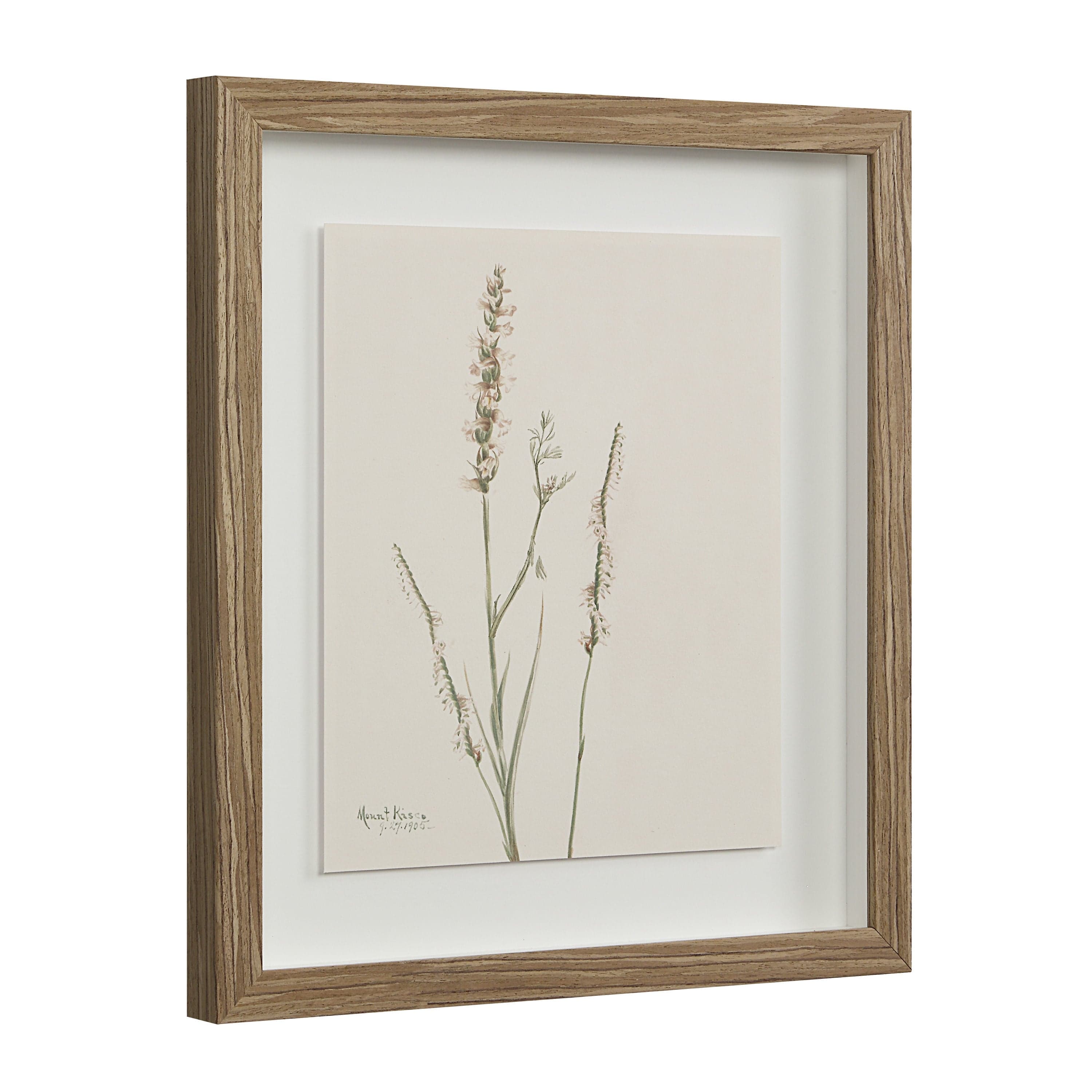 Crema — product photograph