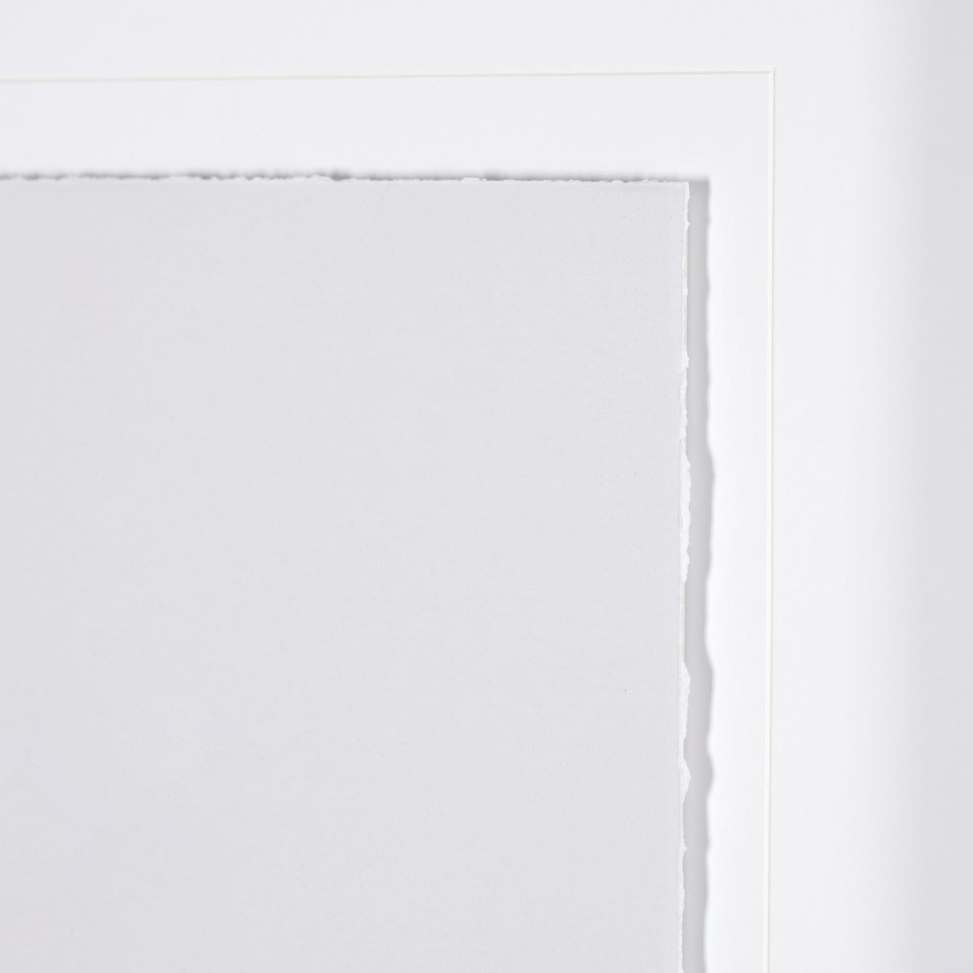 Olive Branch II by Gabrielle a Framed Art Print Matted under Glass — product photograph